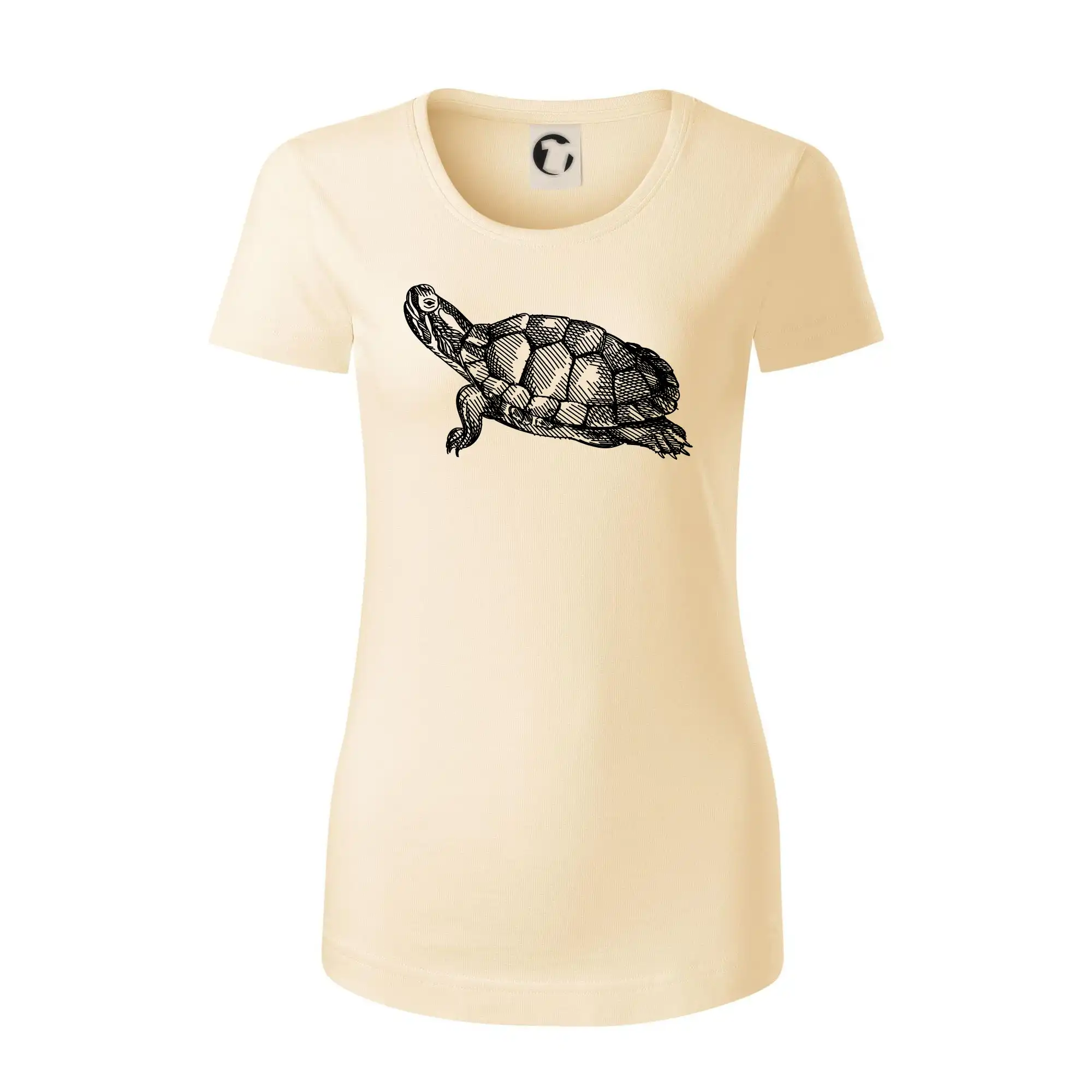 Tužkou kreslená želva