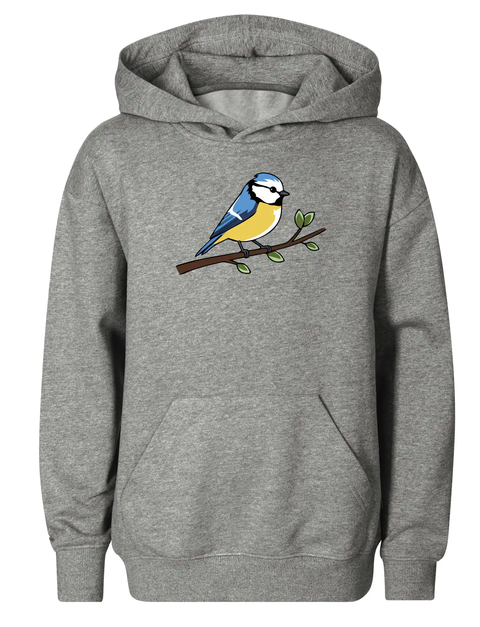Sýkorka modřinka na větvi