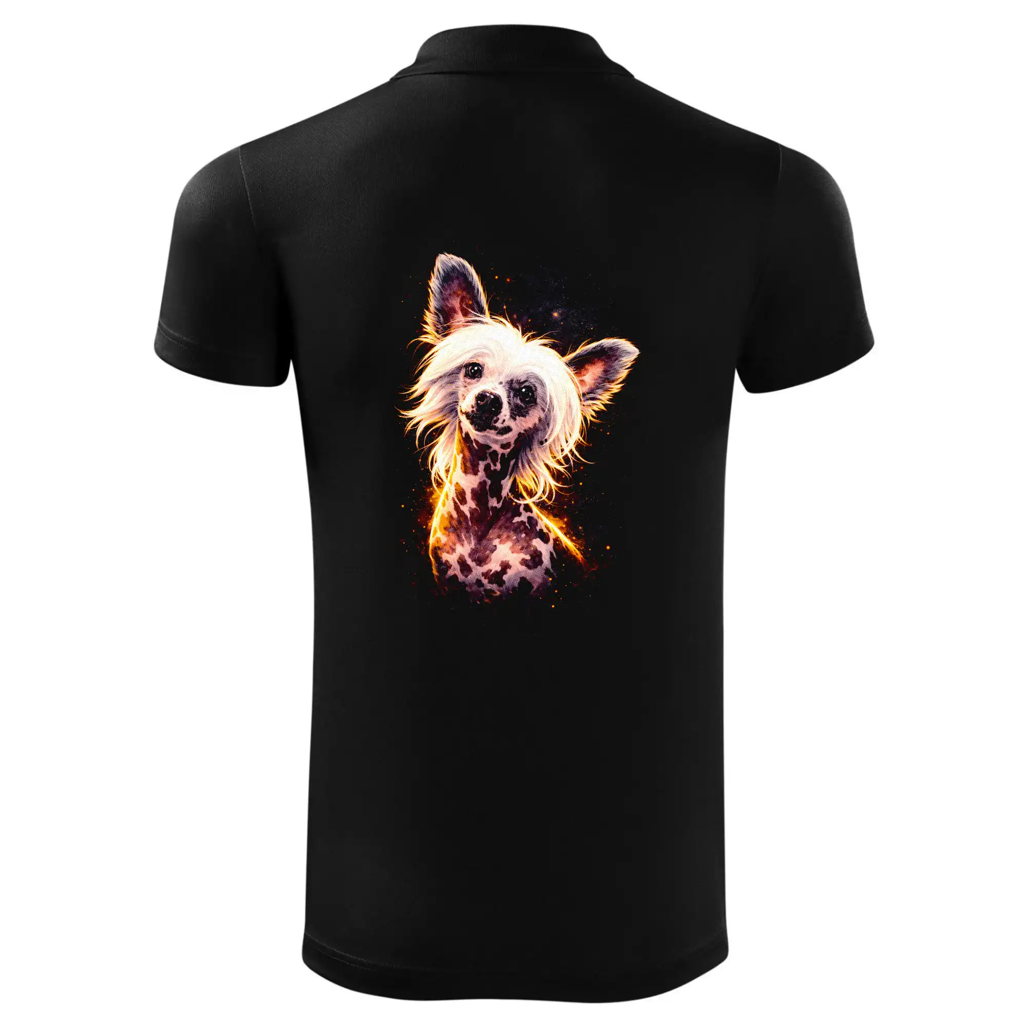 Obrázek polotón čínský chocholatý pes