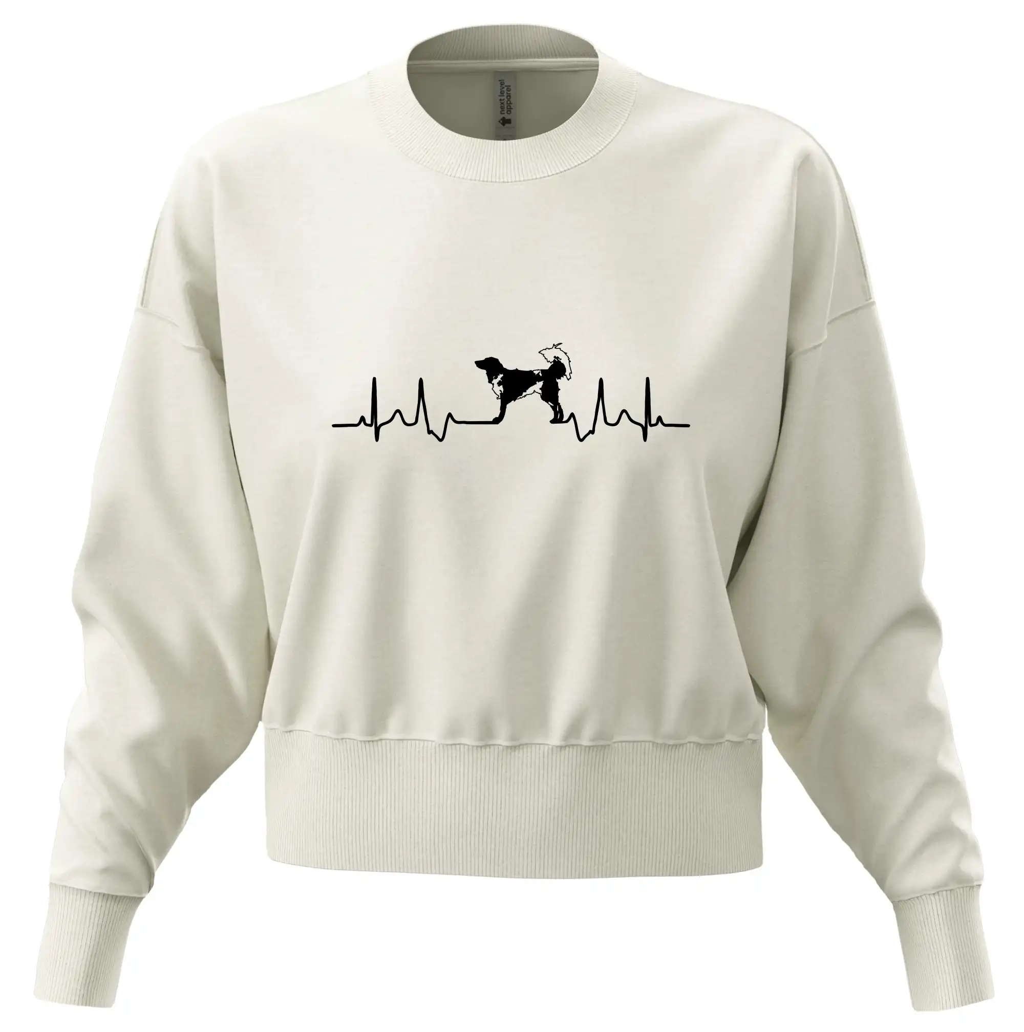 Český strakatý pes EKG