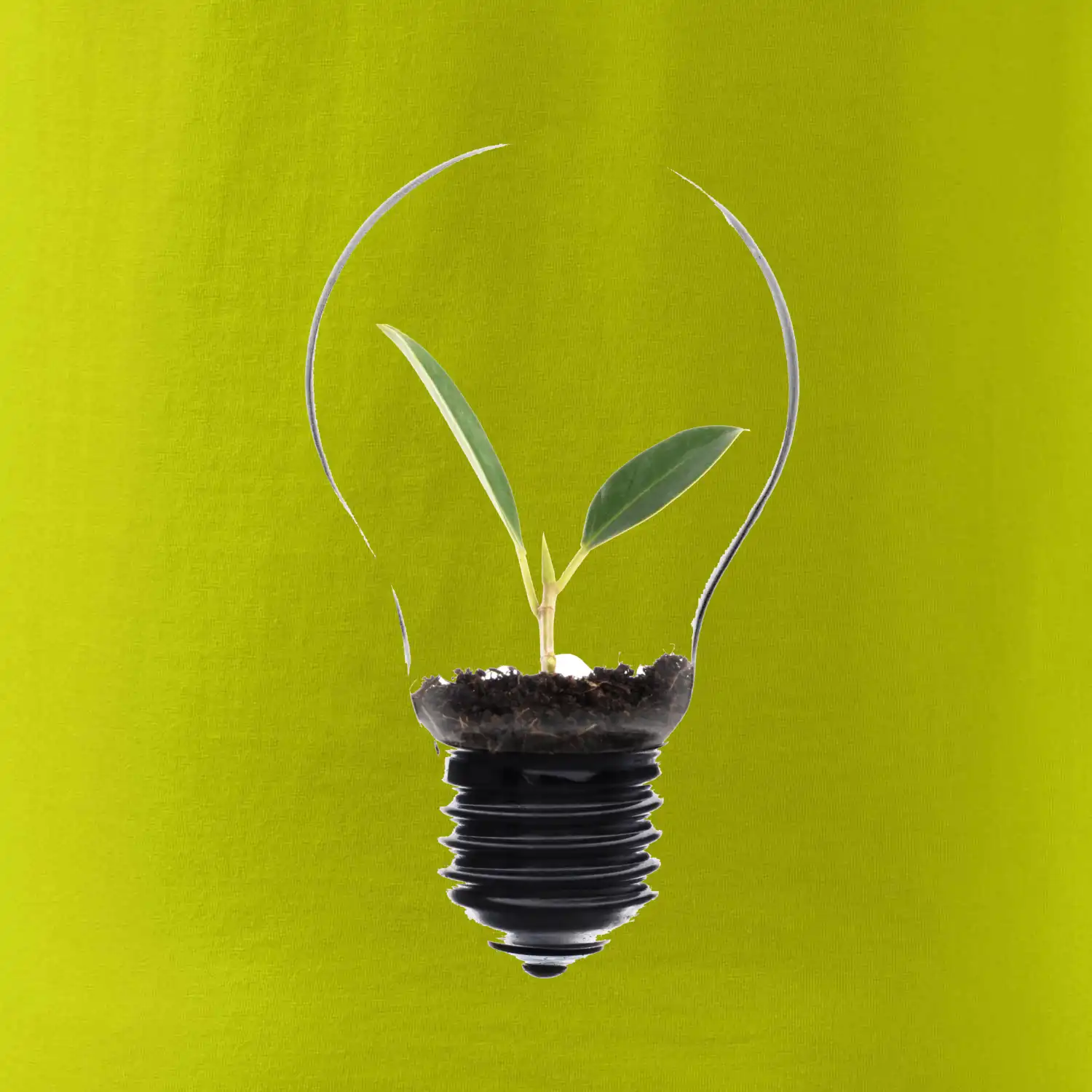 Žárovka květináč