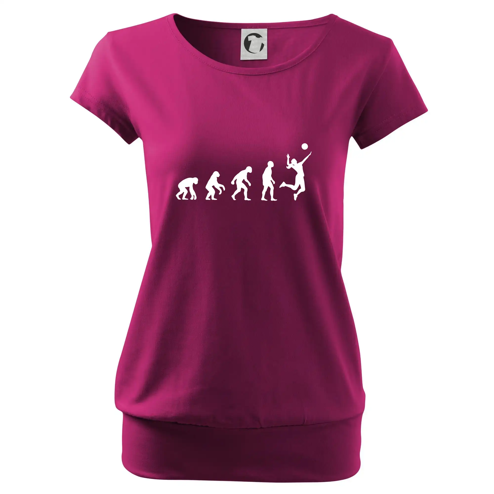 Evoluce volejbal culík