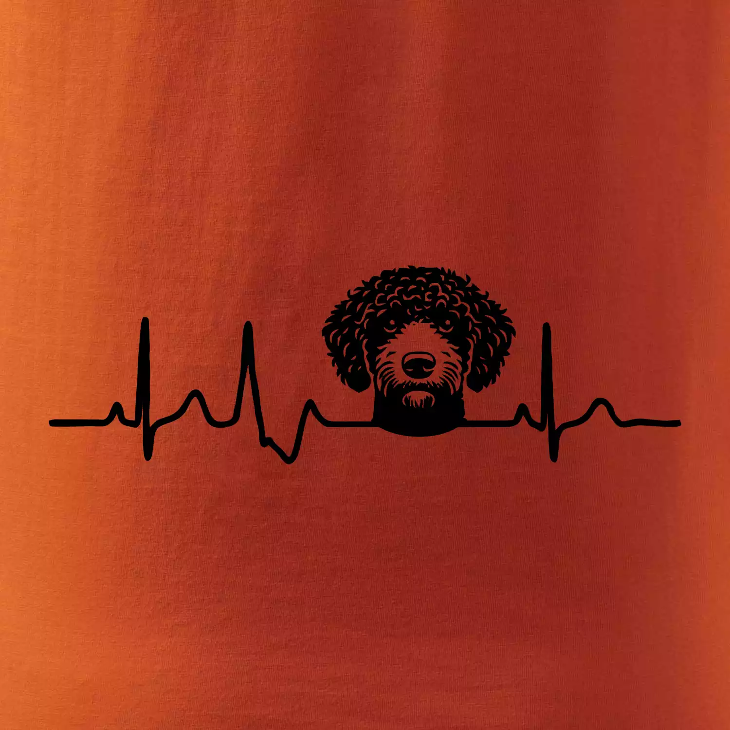 Lagotto romagnolo hlava EKG