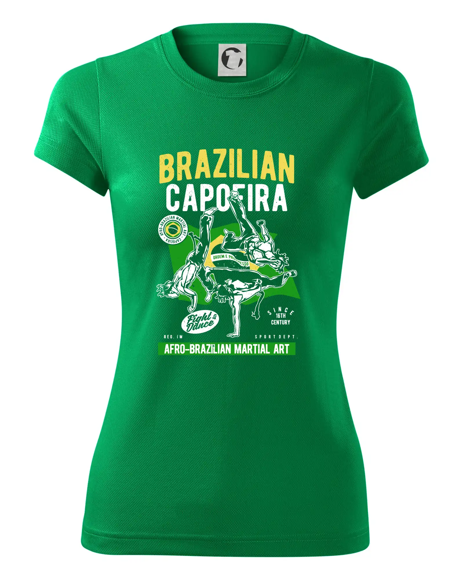 Brazilian Capoeira