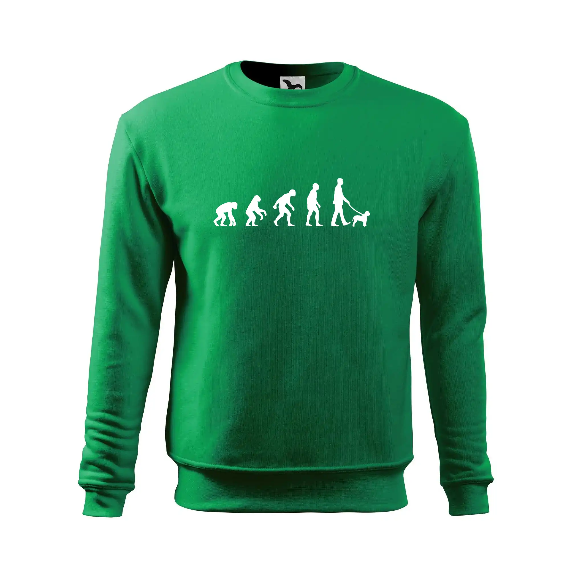 Lagotto romagnolo Evoluce