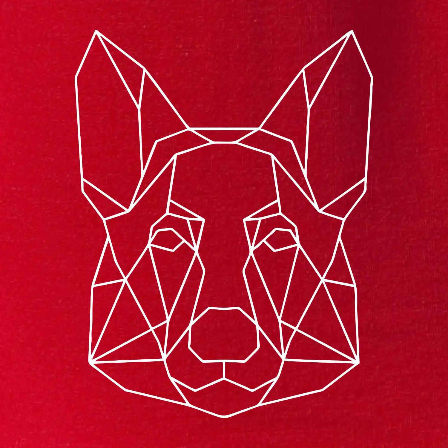 Německý ovčák - Geometrie