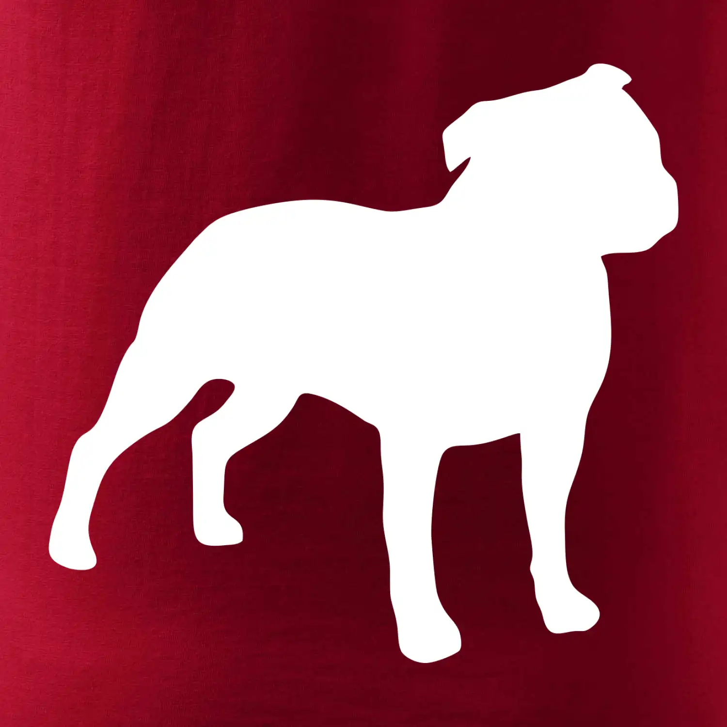 Americký stafordširský teriér  Na prsu