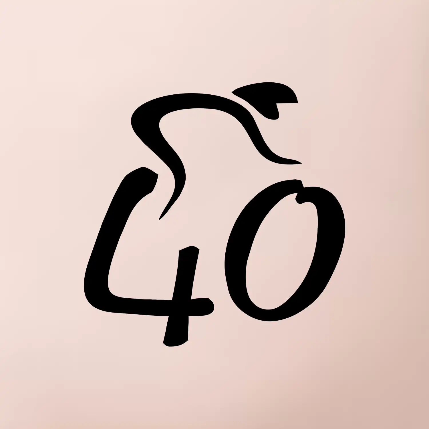 Cyklista slaví čtyřicítku (40)