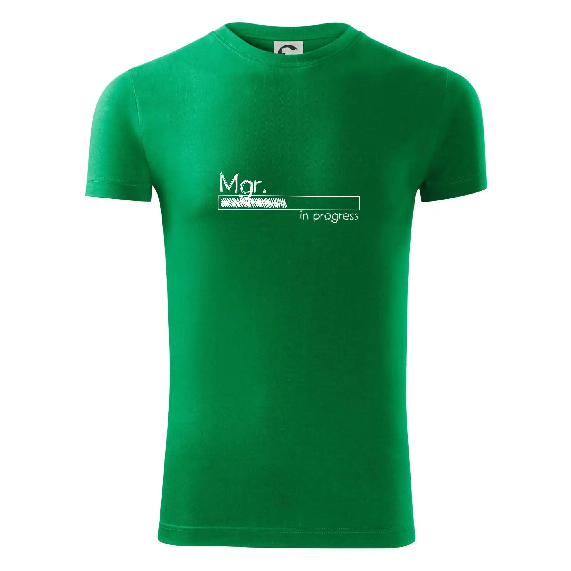 In progress titul Mgr.  magistr / magistra