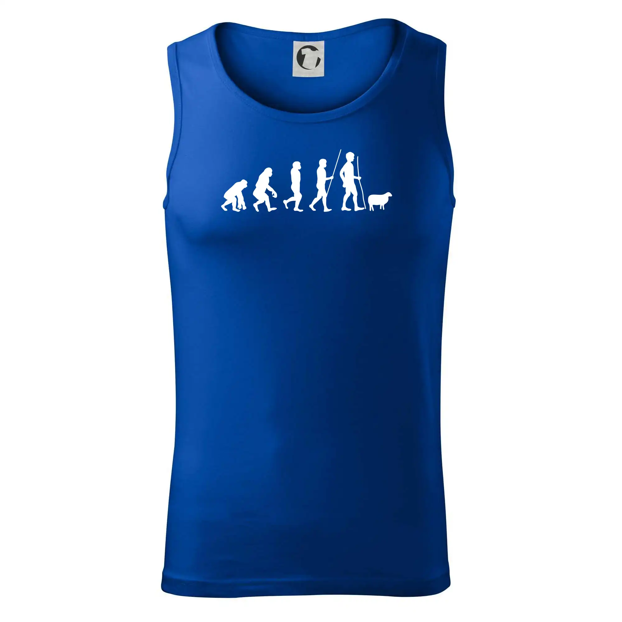 Evoluce pastevec ovcí