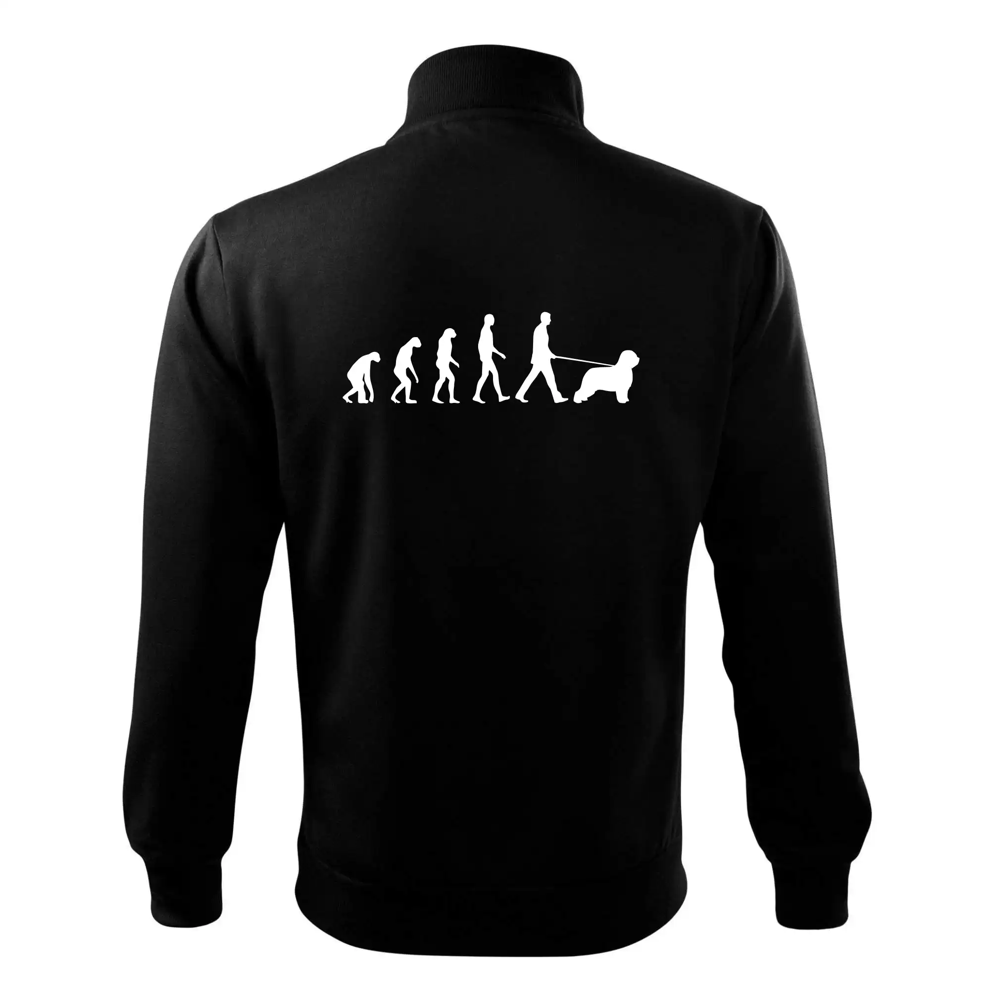 Evoluce pes Briard