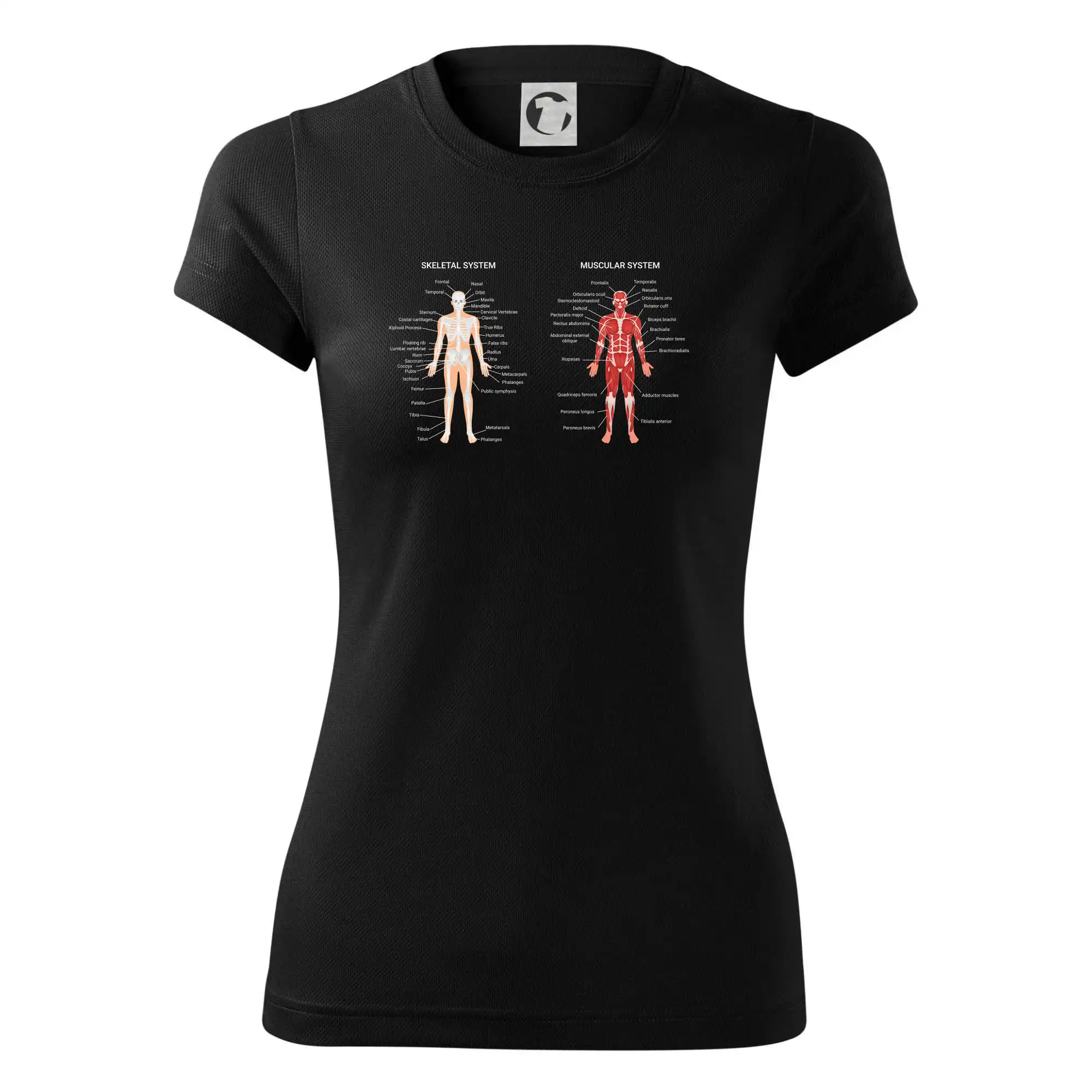 Skelet and Moscular system