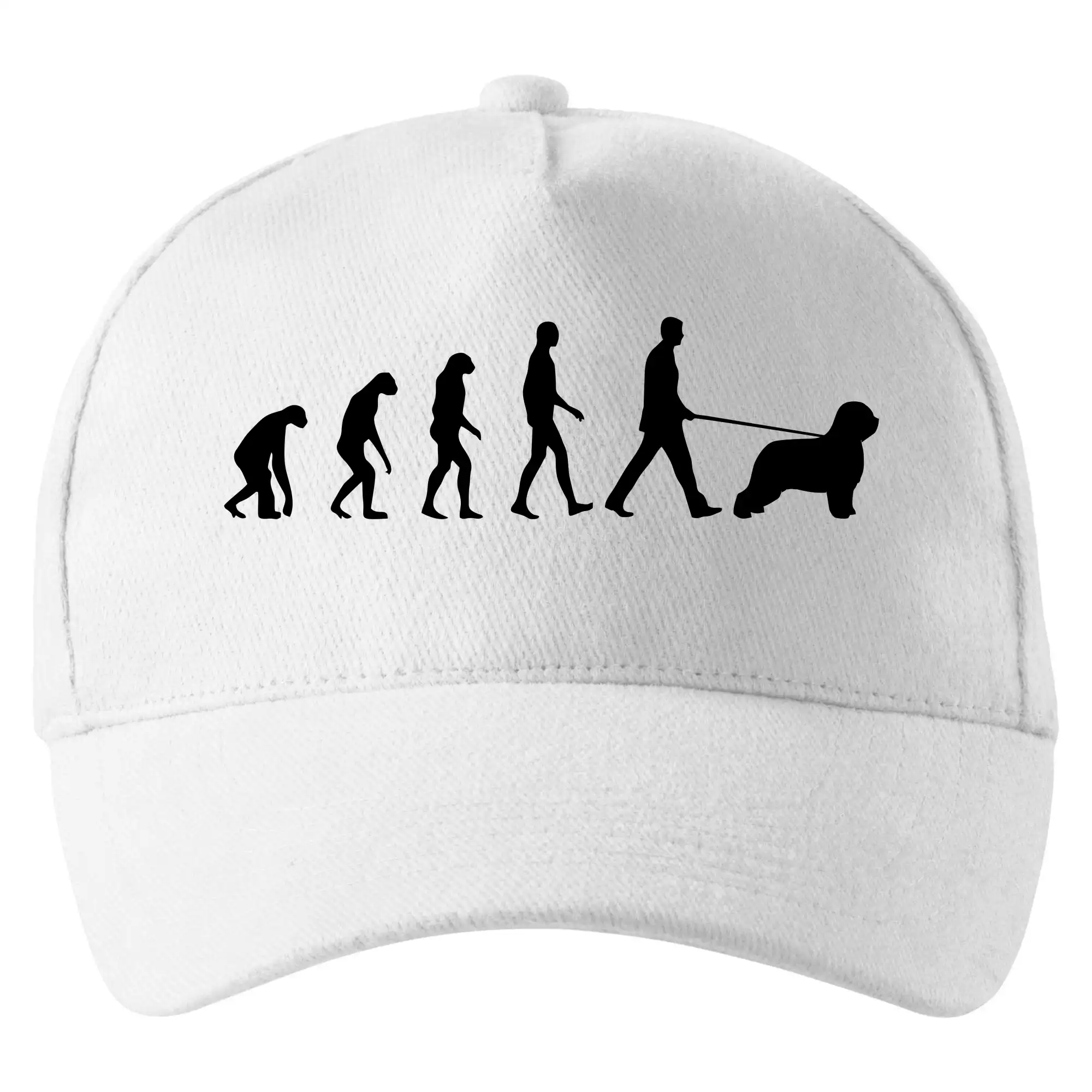 Evoluce pes Briard