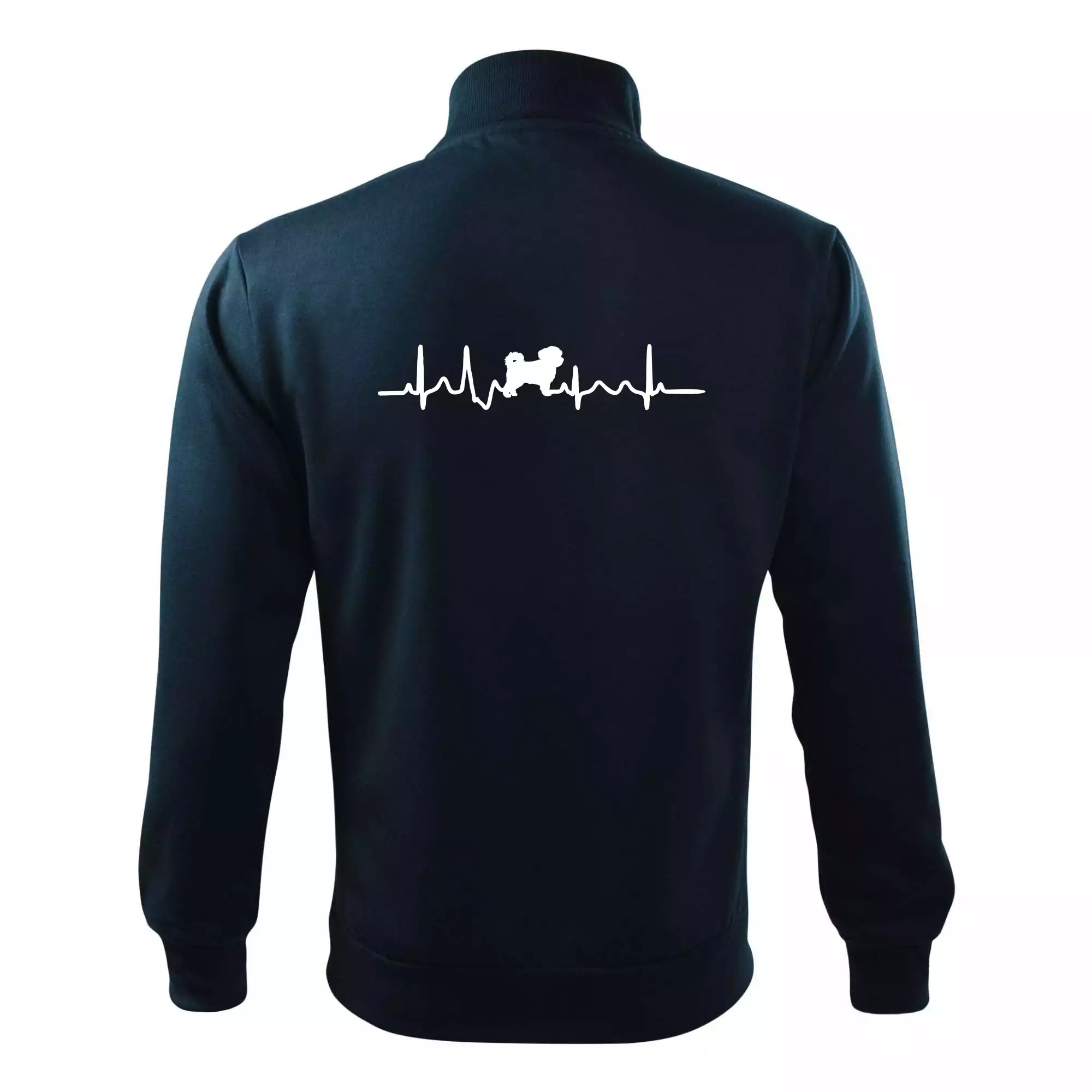 Havanský psík ekg