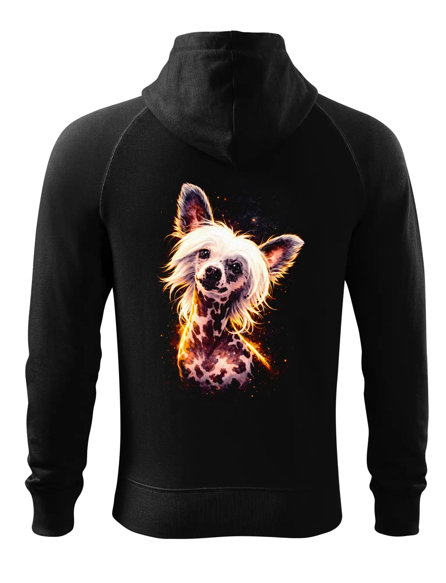 Obrázek polotón čínský chocholatý pes