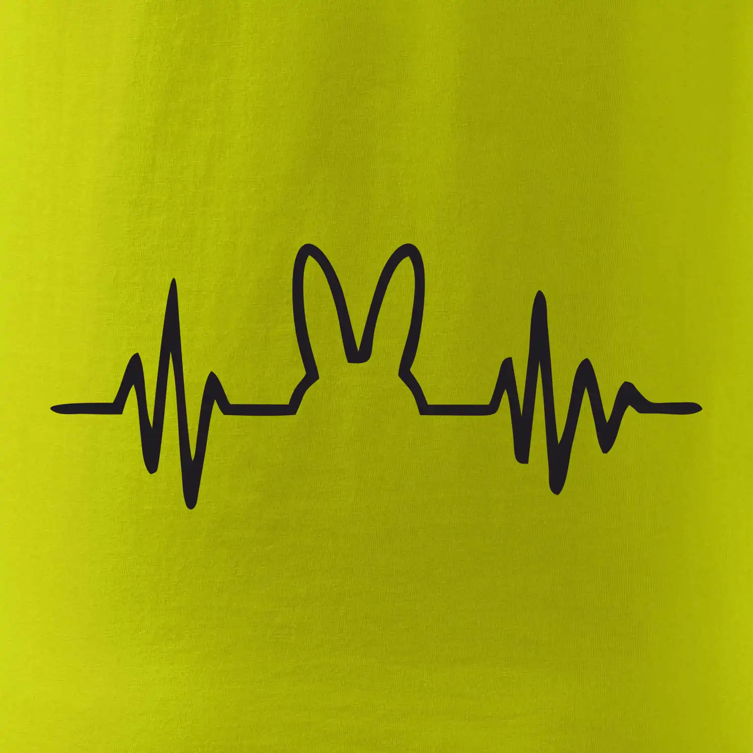 EKG zajíc
