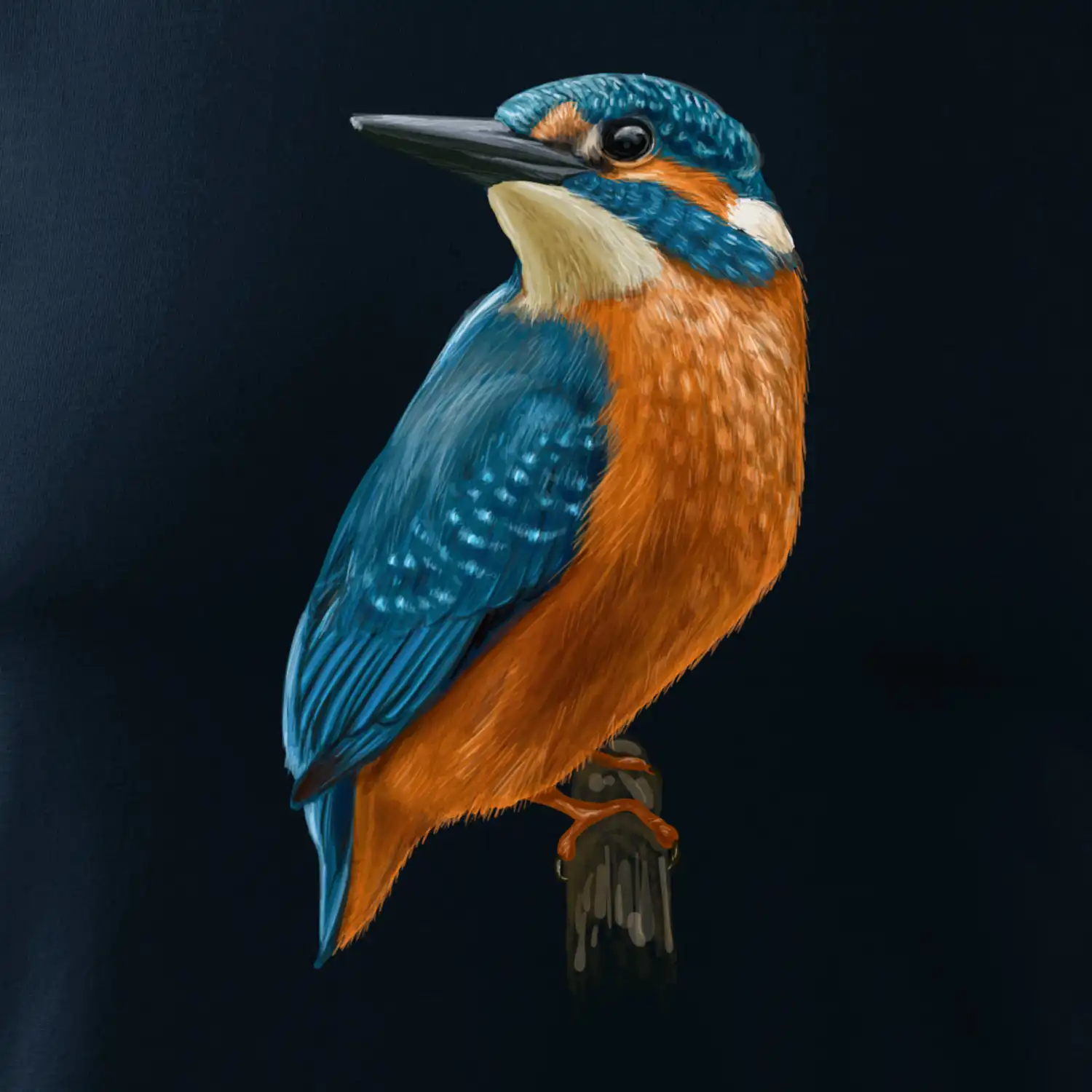 Lednáček kreslený