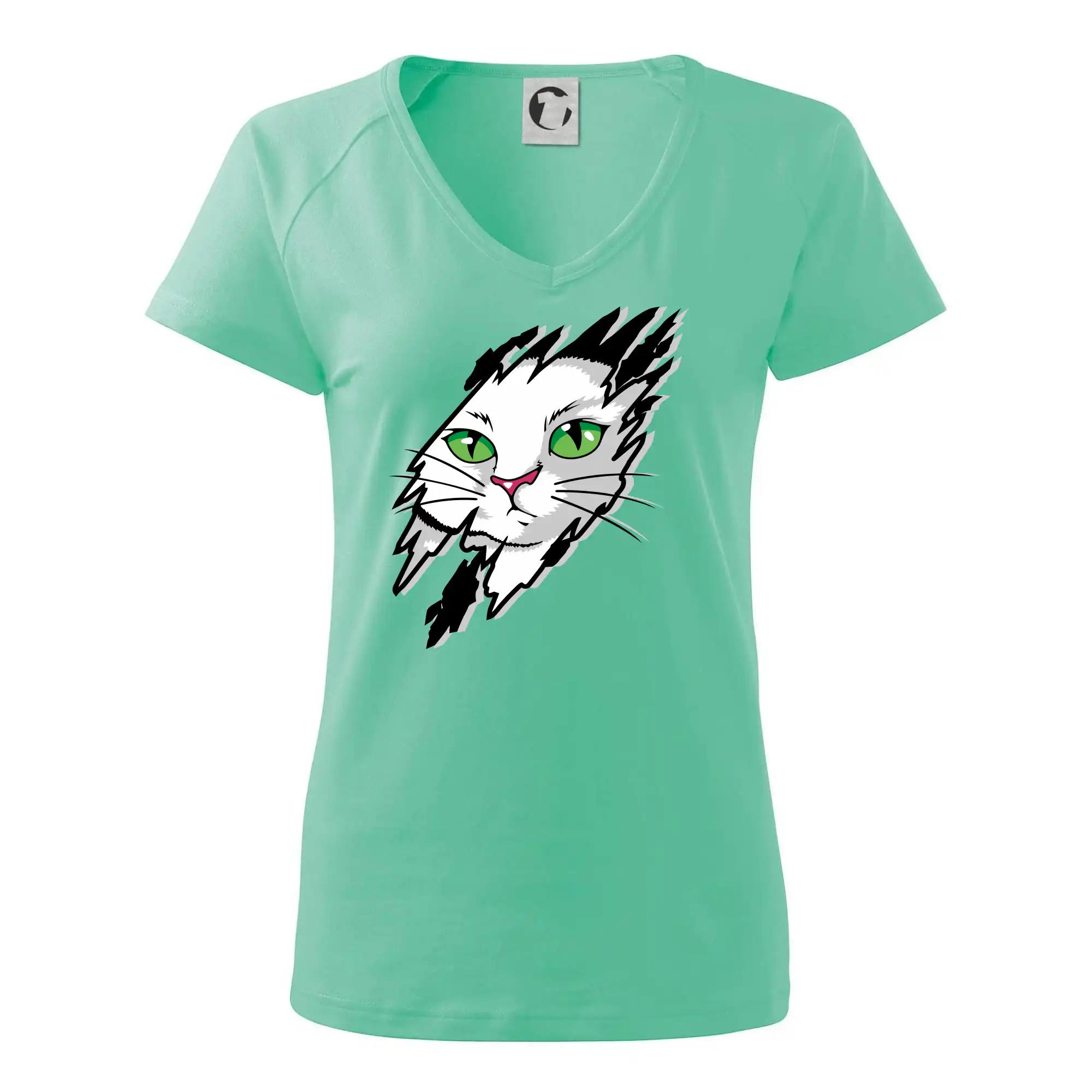 Kočka v roztrženém triku