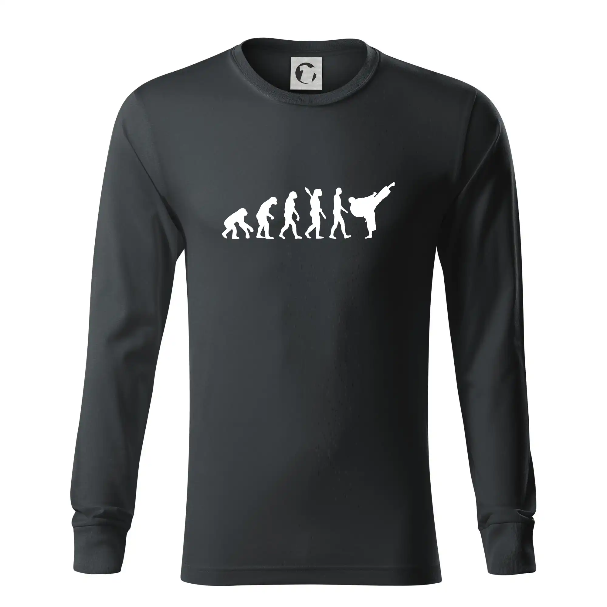 Karate Evoluce - kop