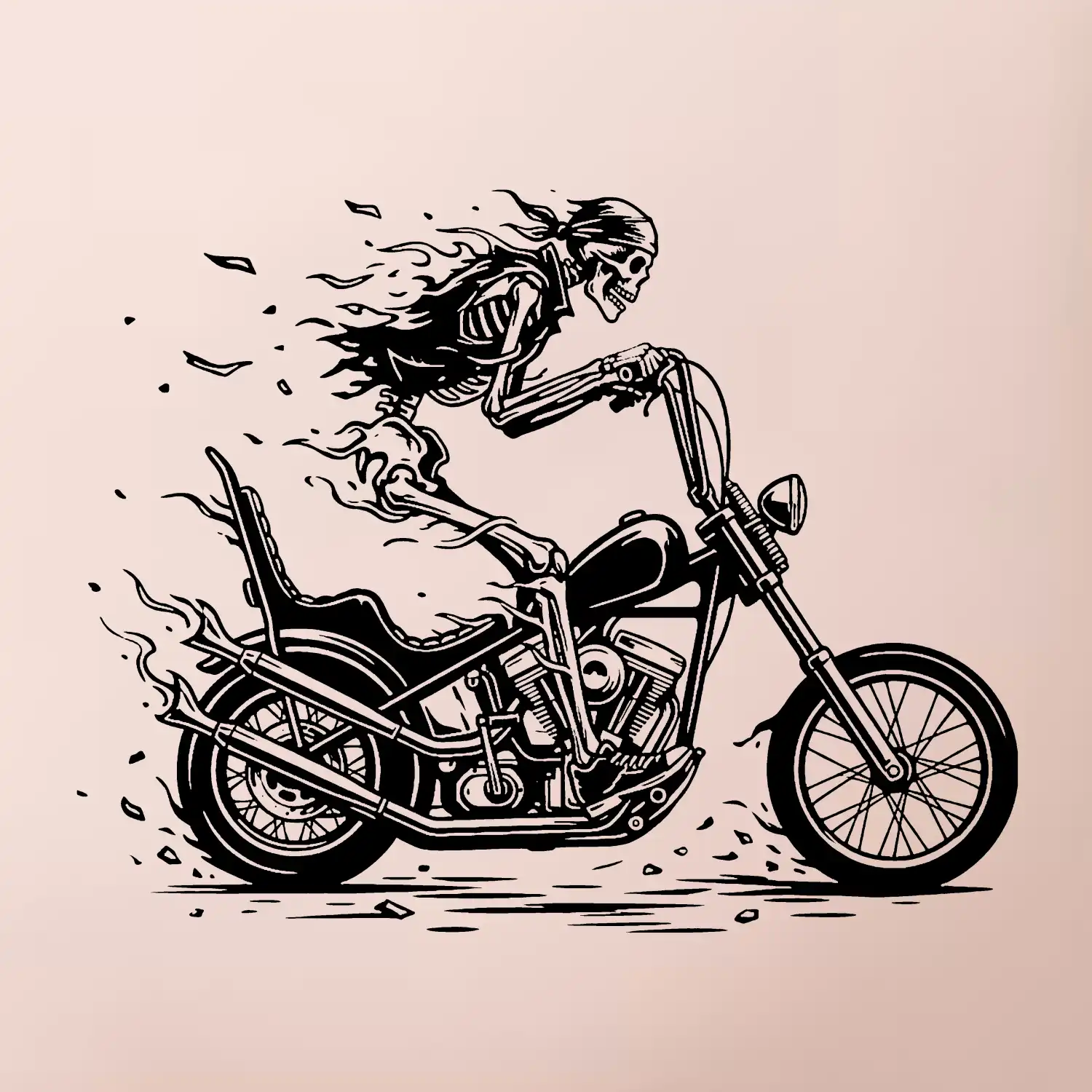 Chopper kostra