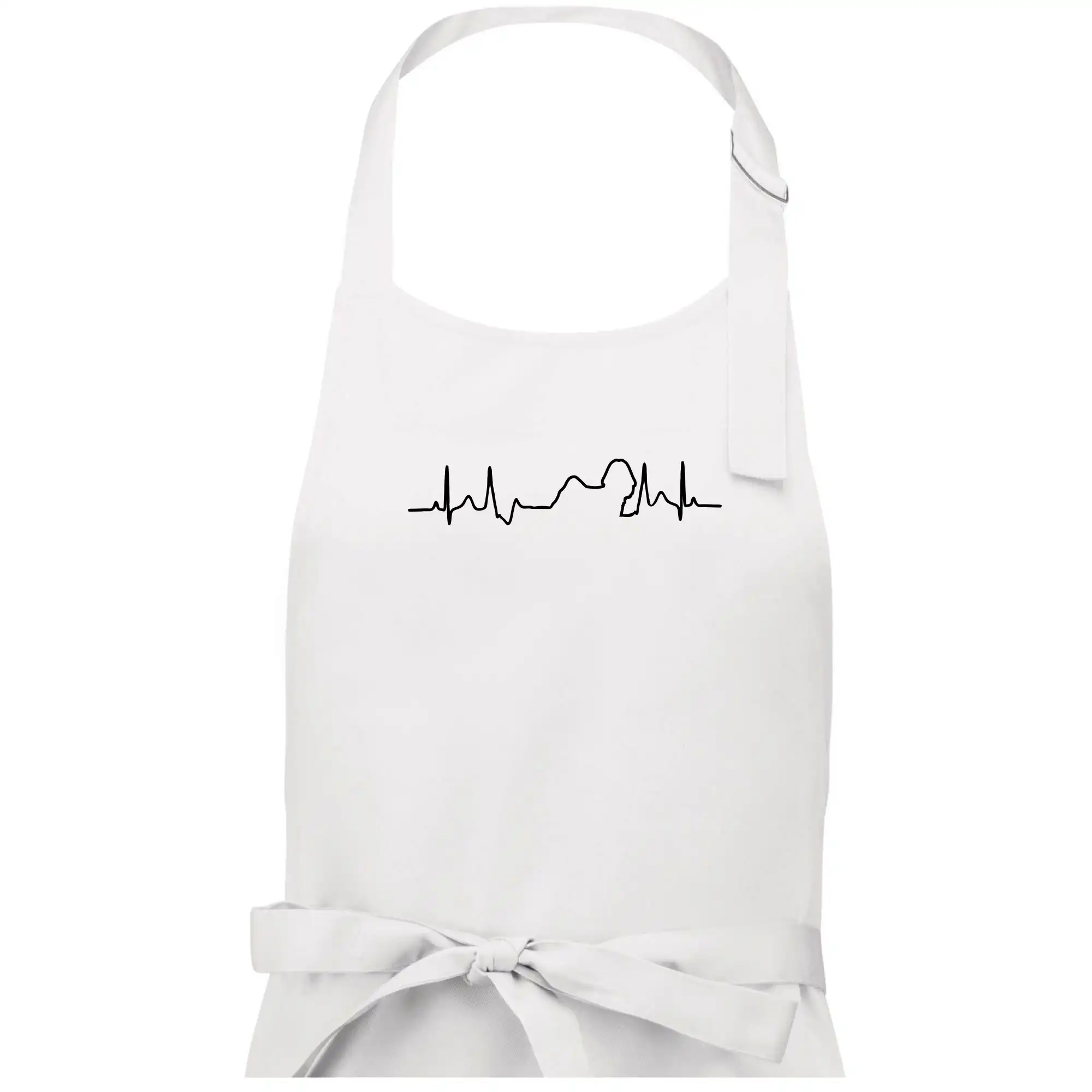 Shih-tzu ekg obrys