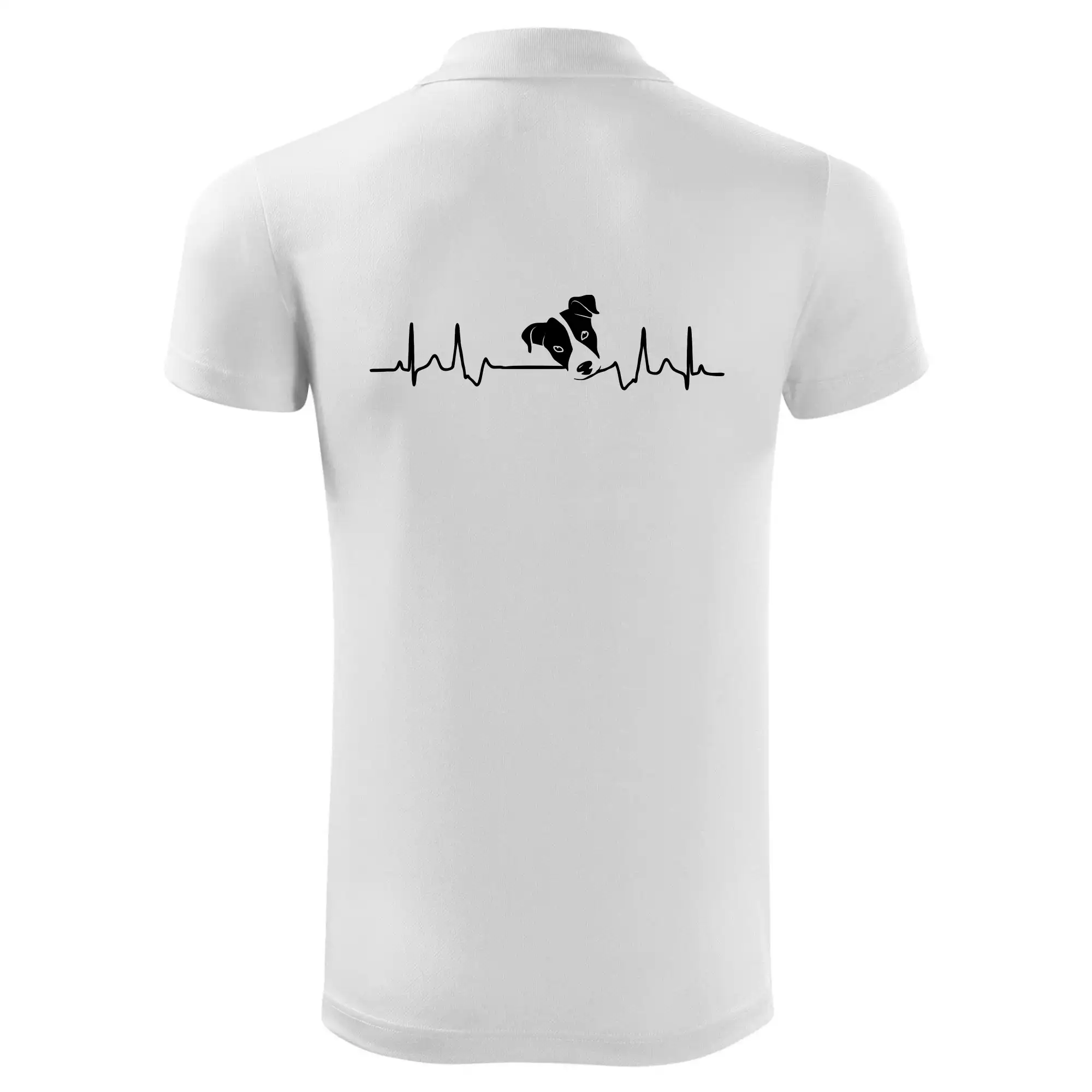 Jack Russell Terriér  - hlava