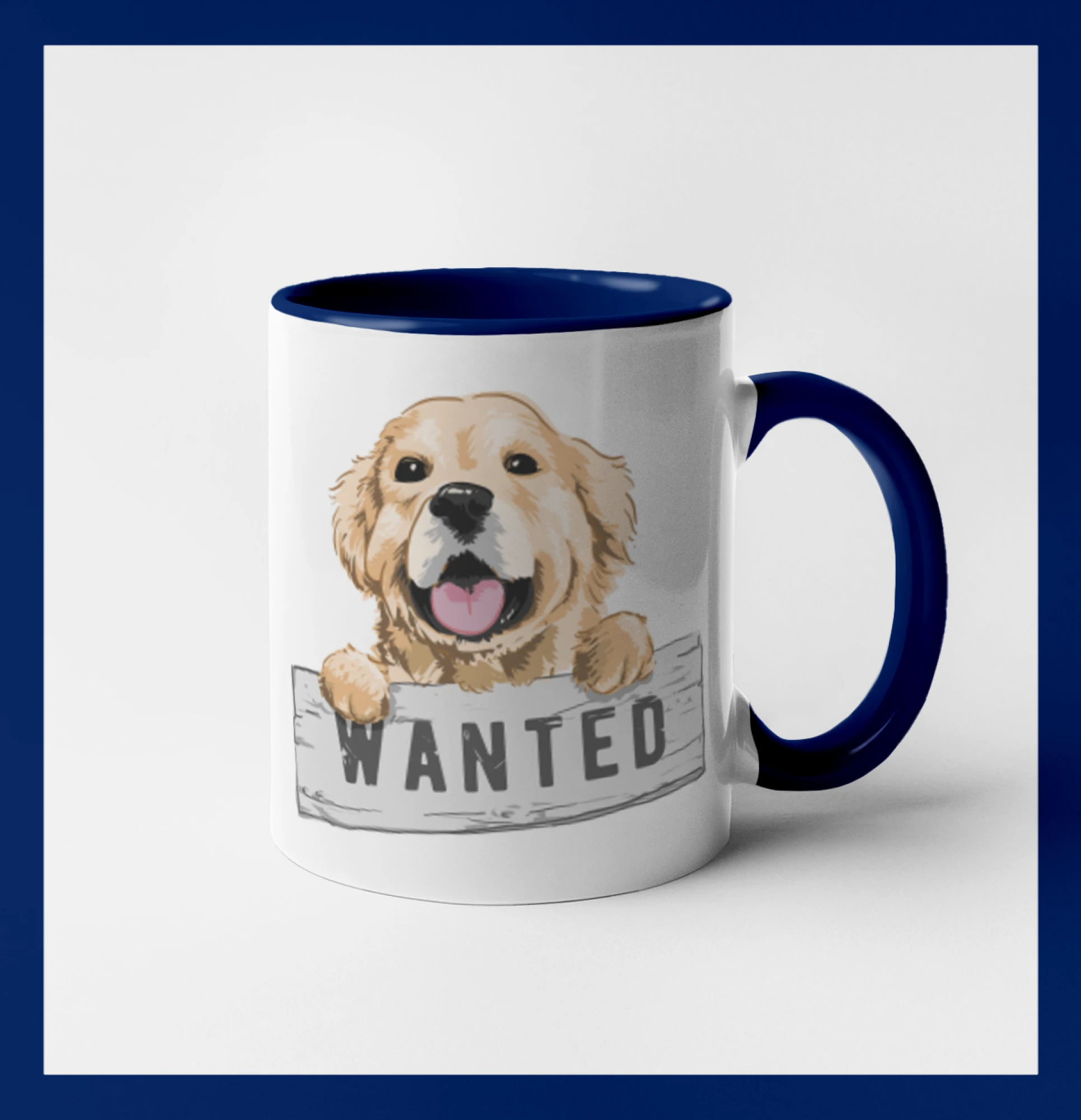 Zlatý retriever - štěně wanted