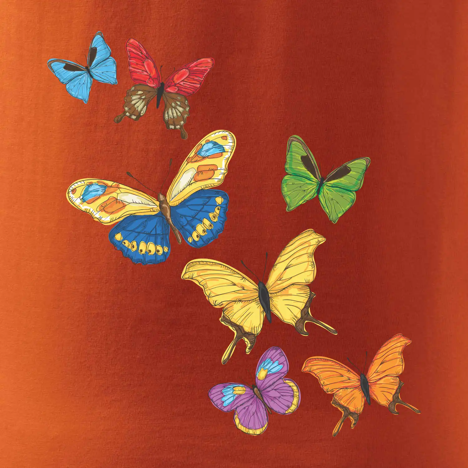 Barevní motýli