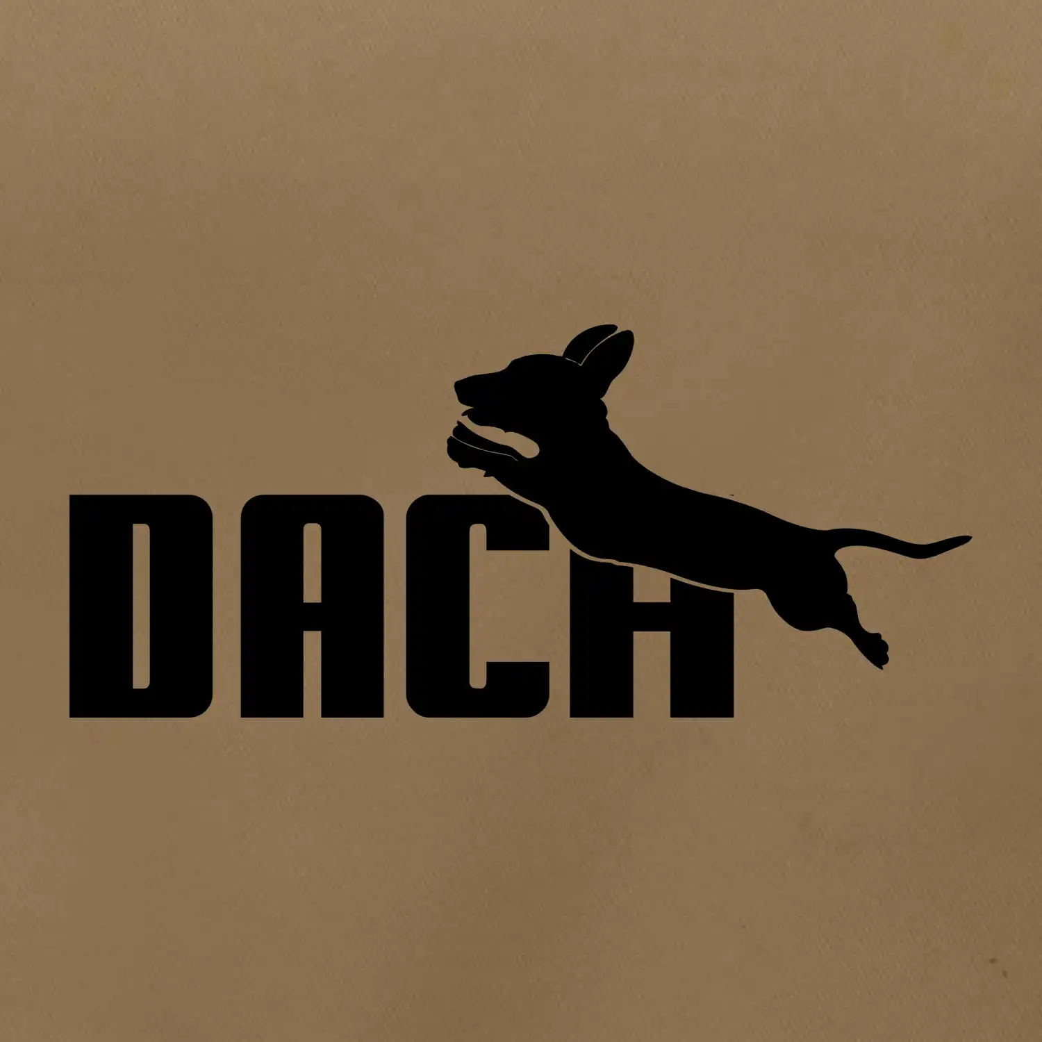 Jazvečík Dach
