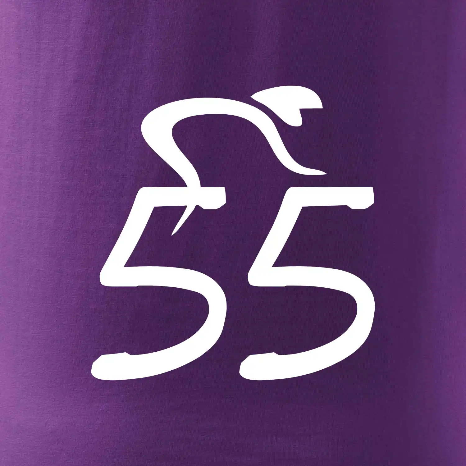 Cyklista slaví pětapadesátku (55)