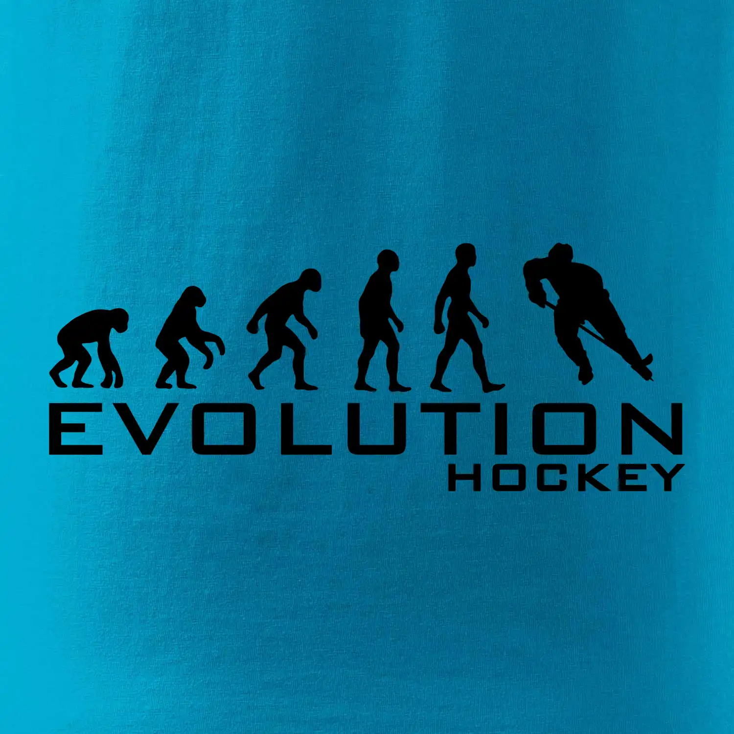 Evoluce Hockey - hráč