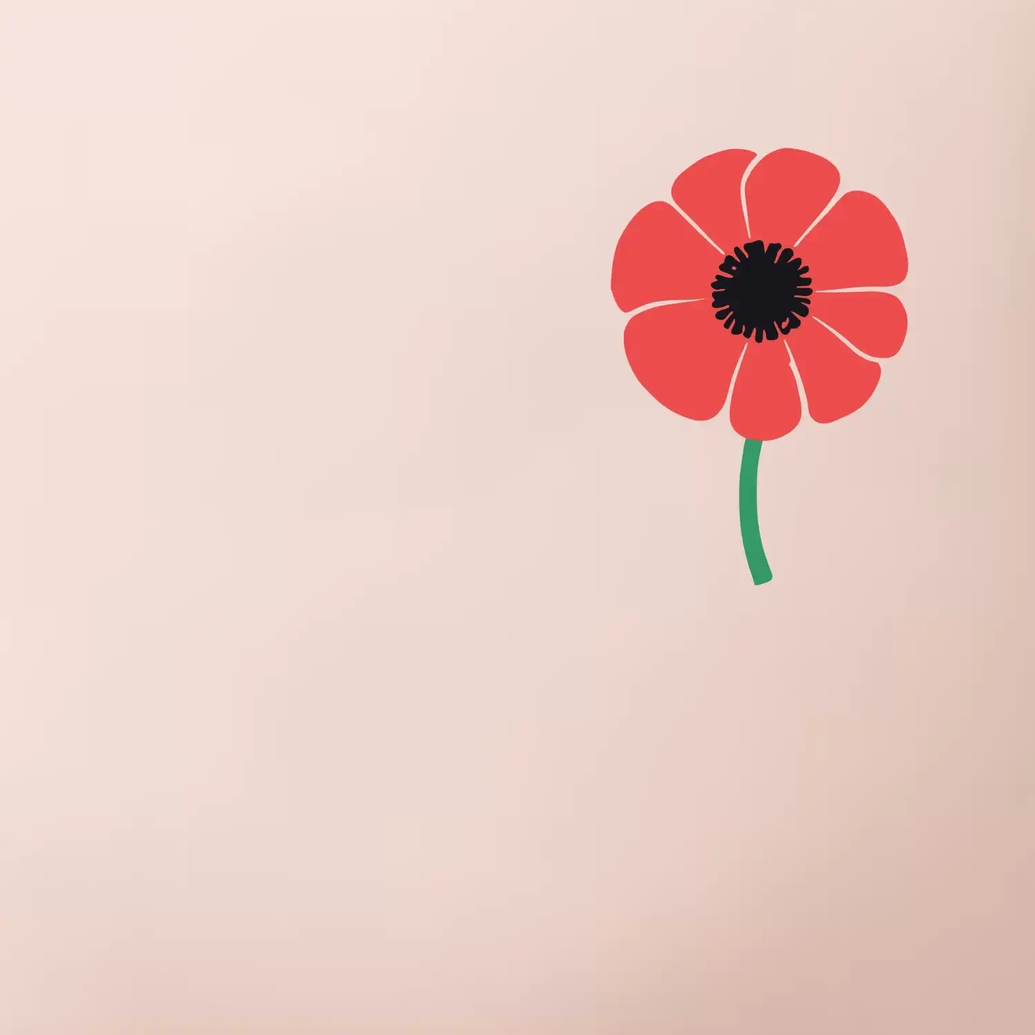 Vlčí mák ikonka na prsu