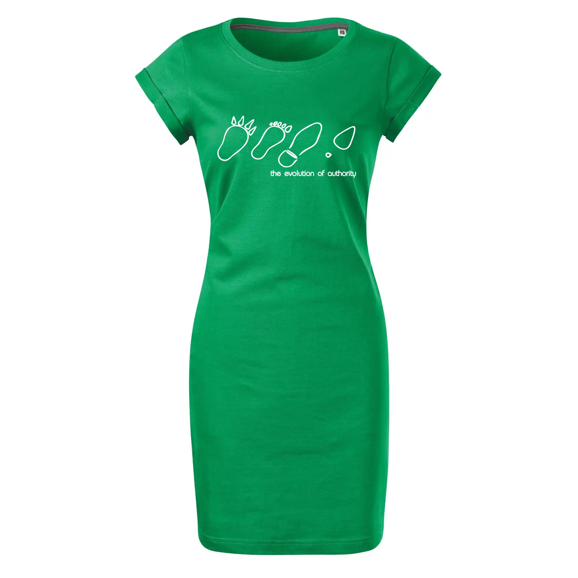 Evolution of authority