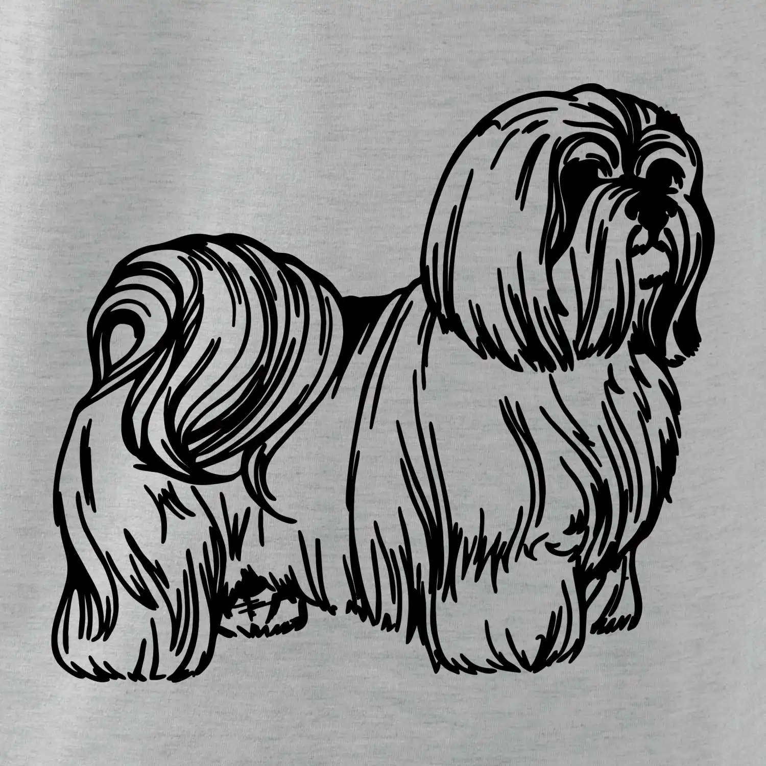 Shih-tzu - chlupatý