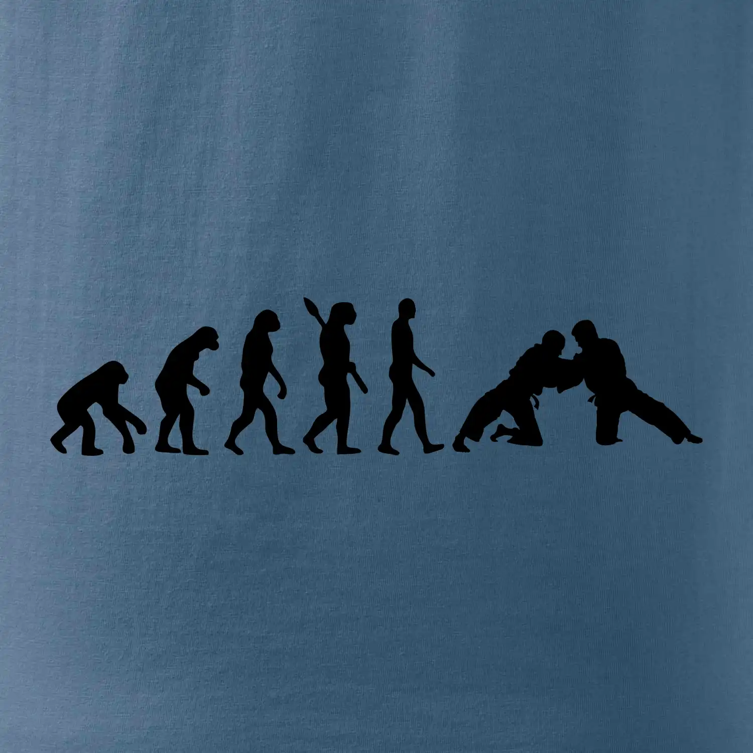 Judo Evoluce