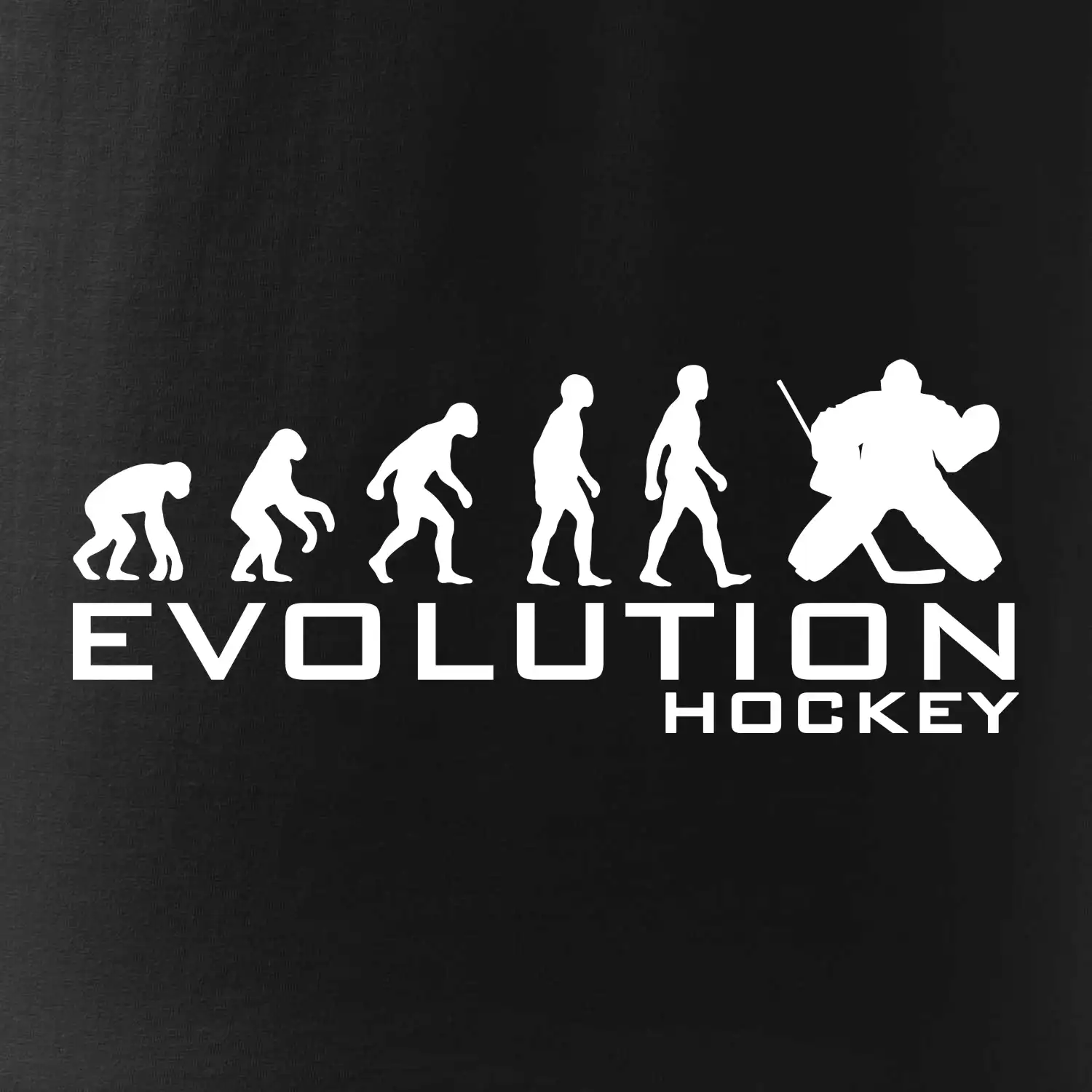 Evoluce Hockey brankář
