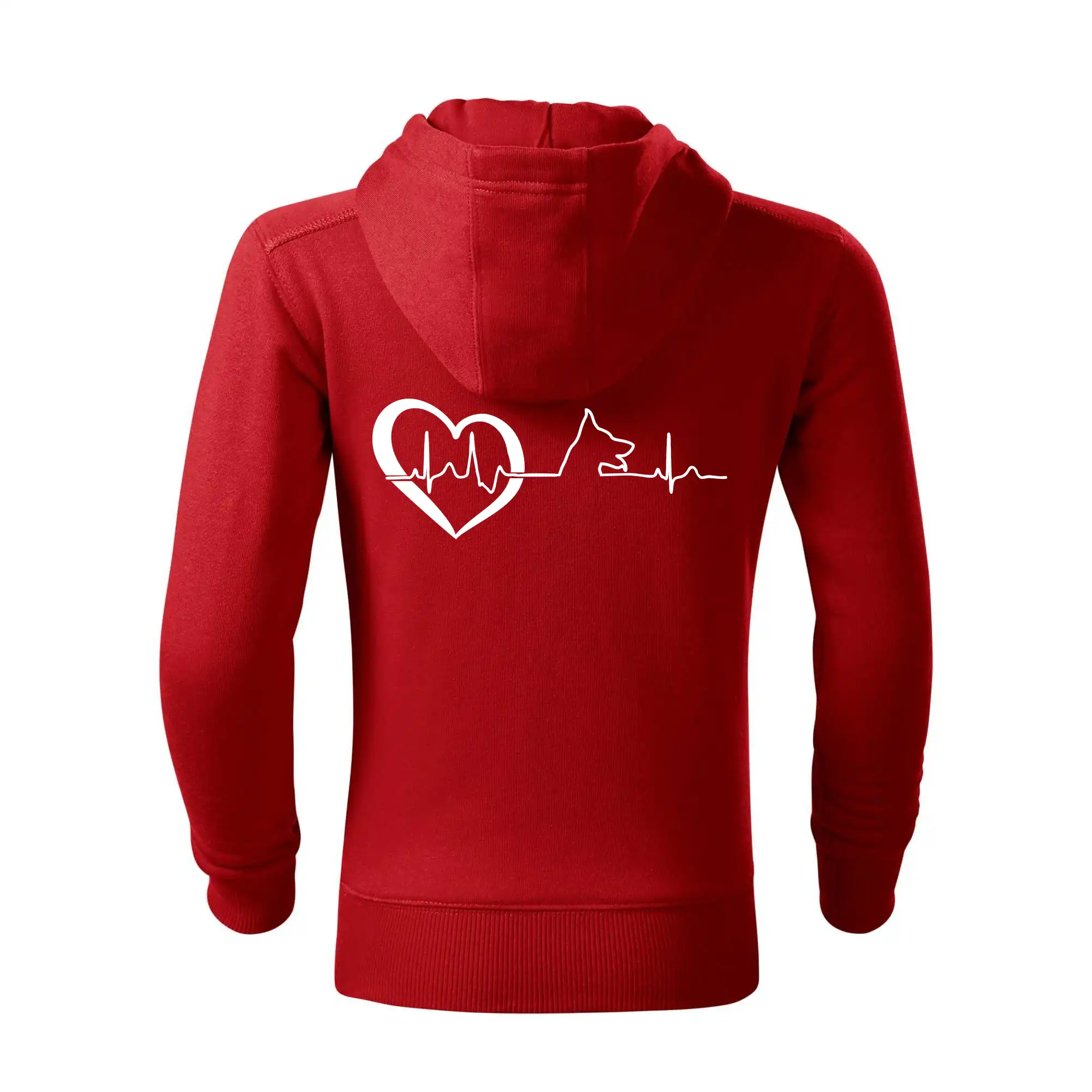 Německý ovčák ekg