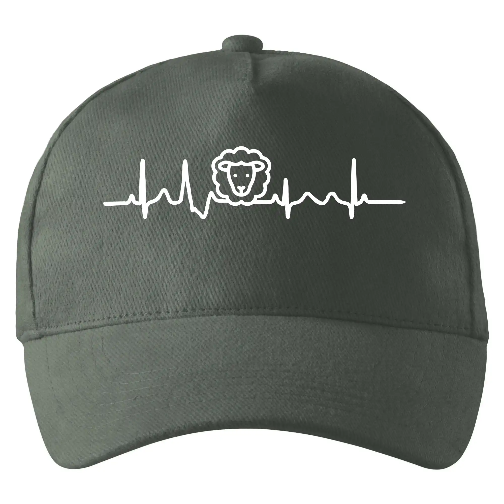 Ekg ovce