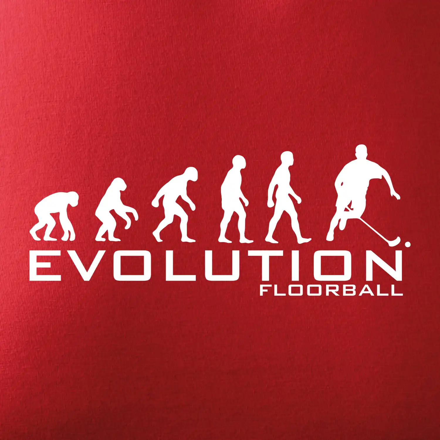 Evoluce Floorball