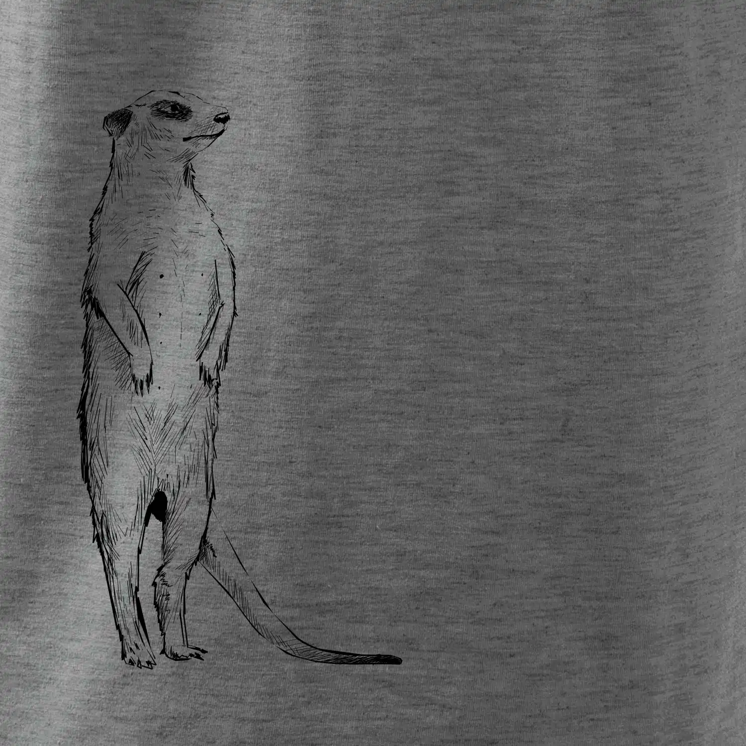 Surikata černá kresba