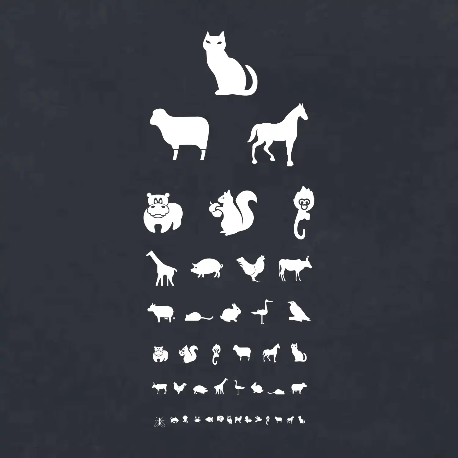 Oční test zvířatka