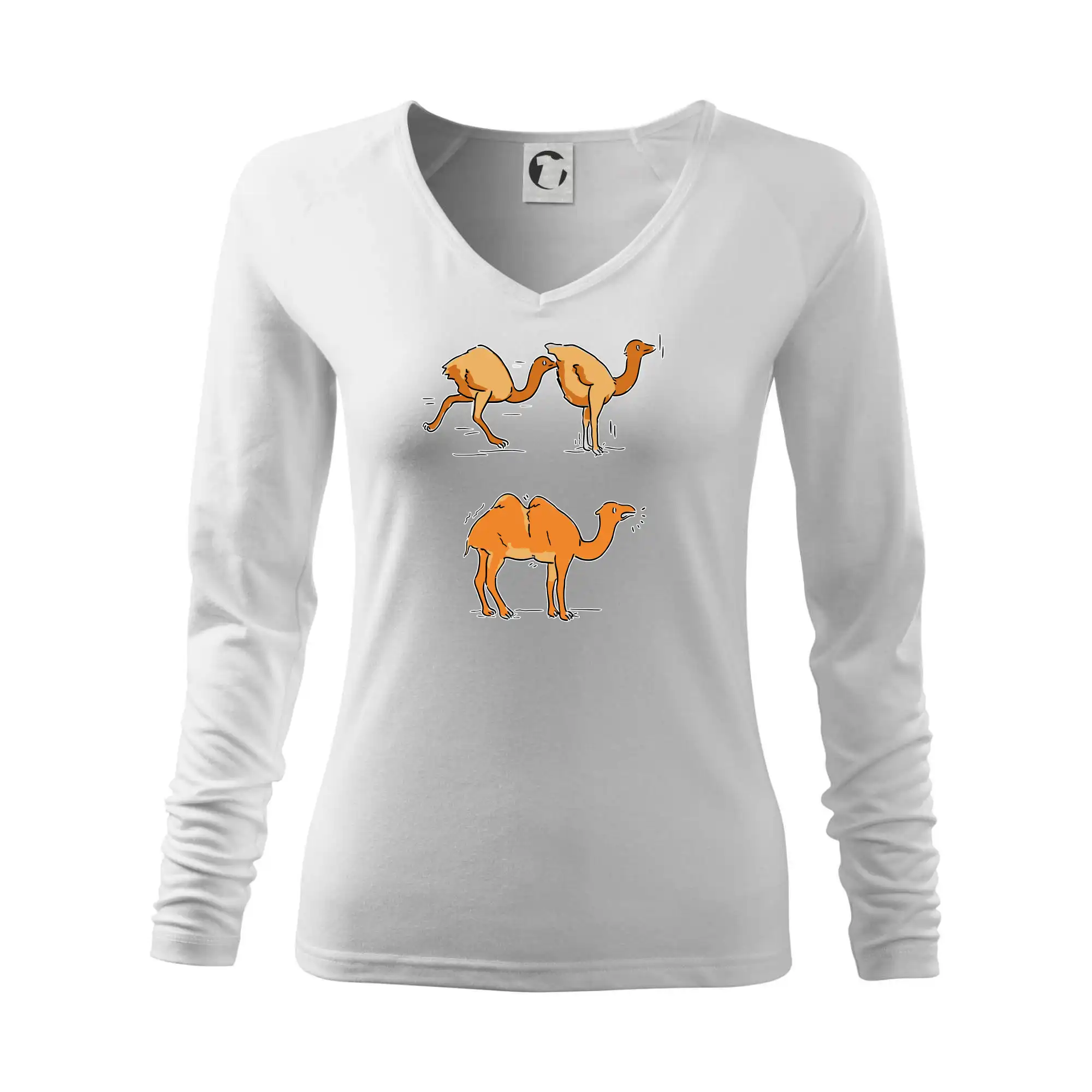 Pravda o velbloudech