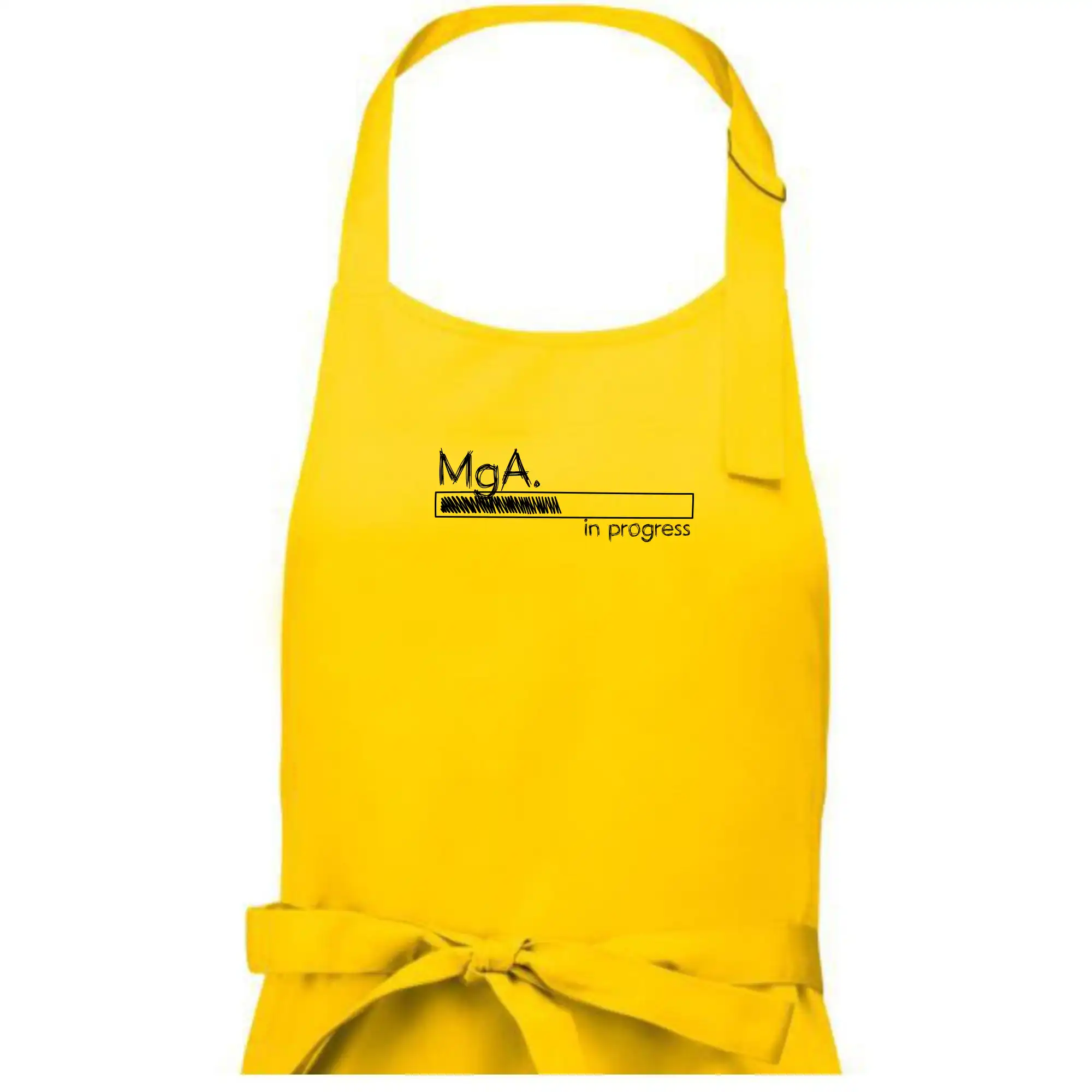 In progress titul MgA.  magistr / magistra umění