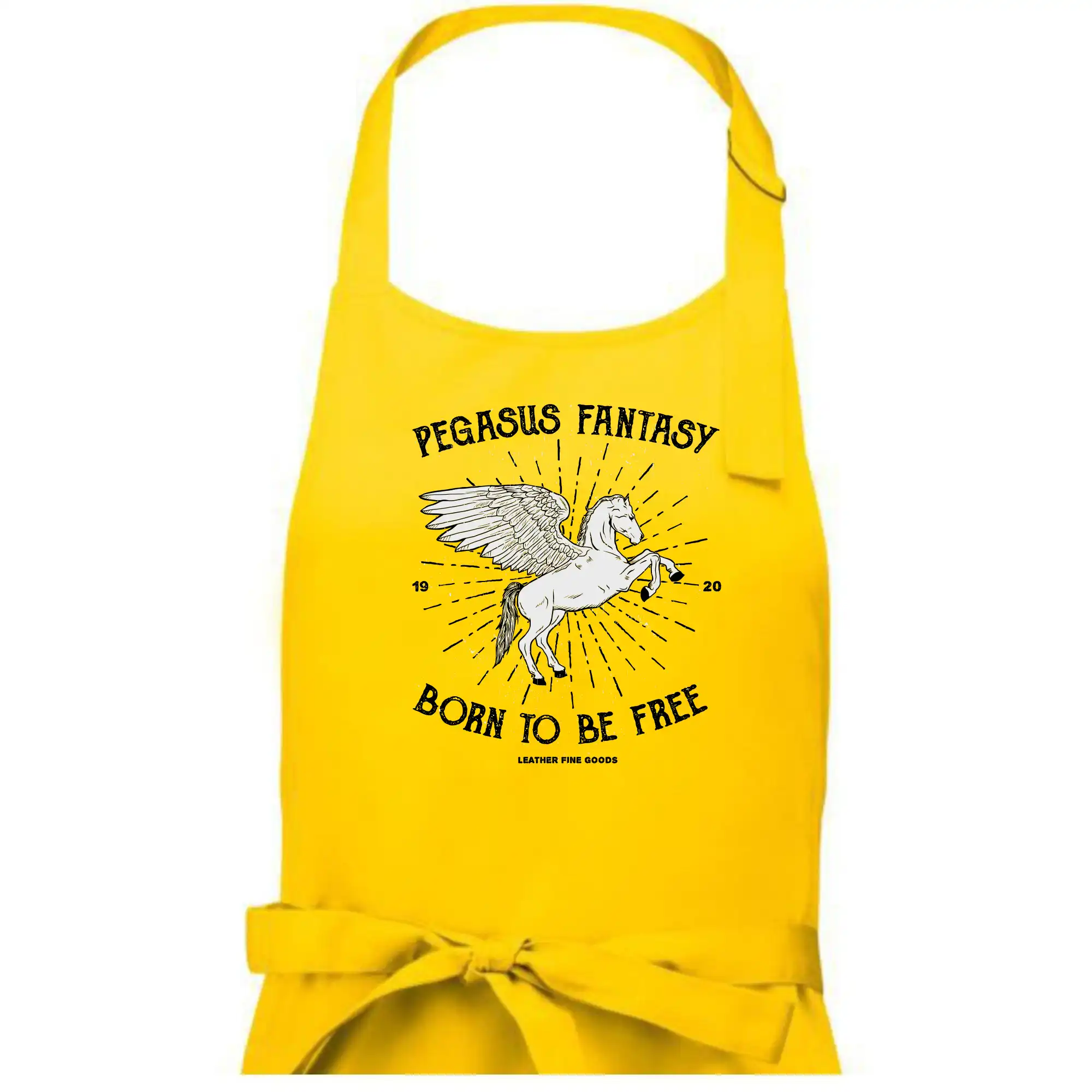 Pegasus fantasy