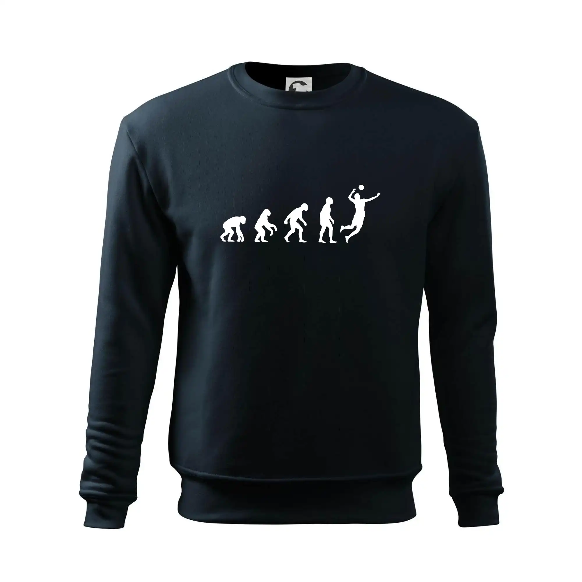 Evoluce volejbal smeč