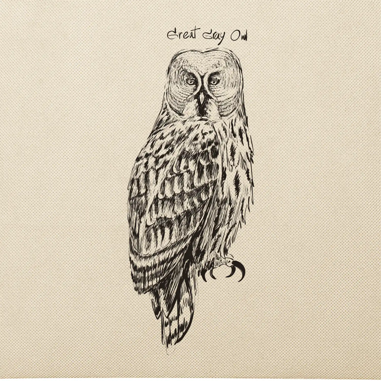 Puštík vousatý great gray owl