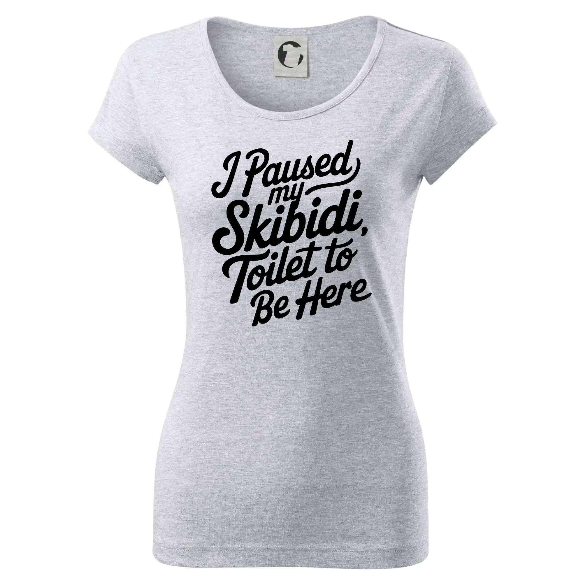 I Paused My Skibidi Toilet to be Here