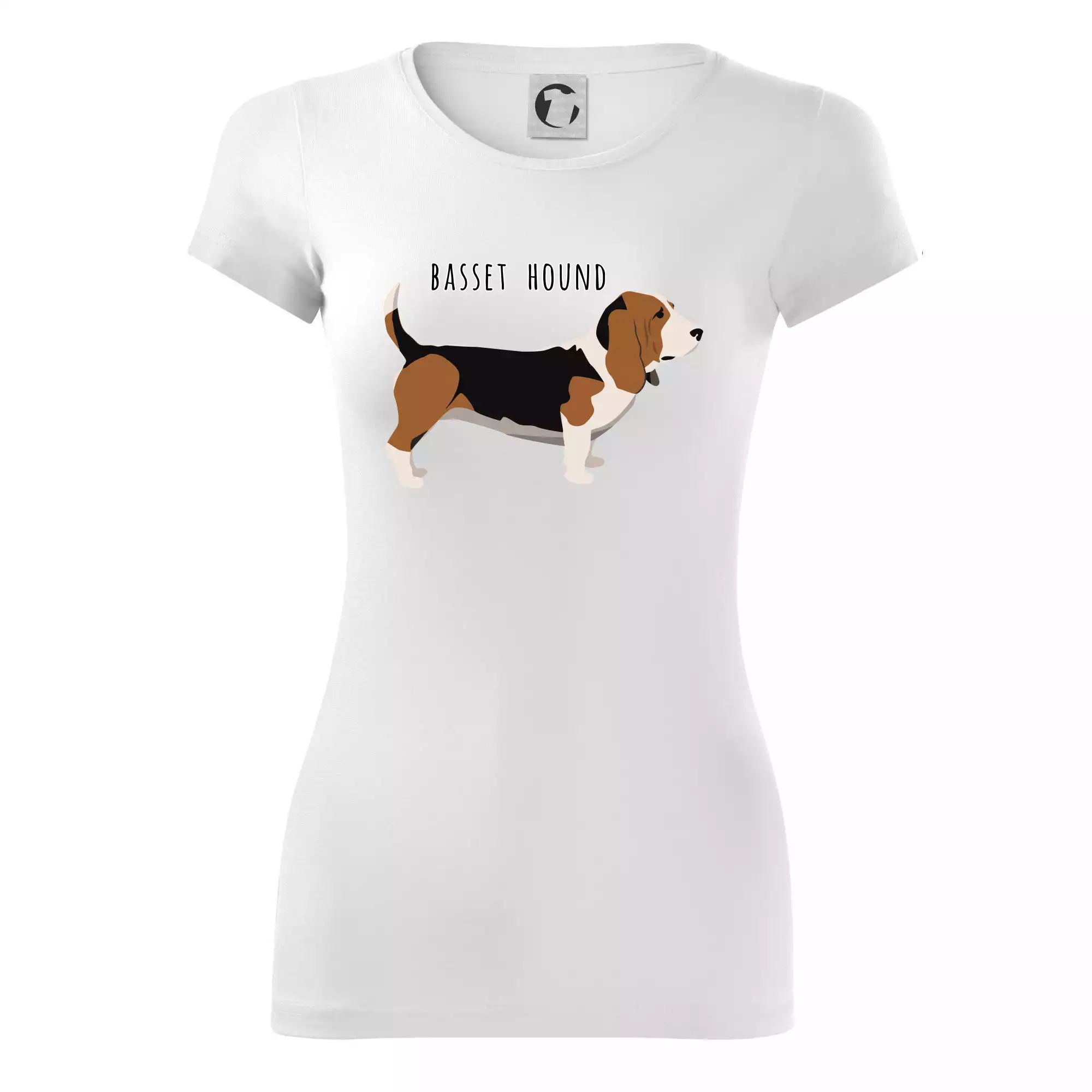 Basset hound pes s nápisem