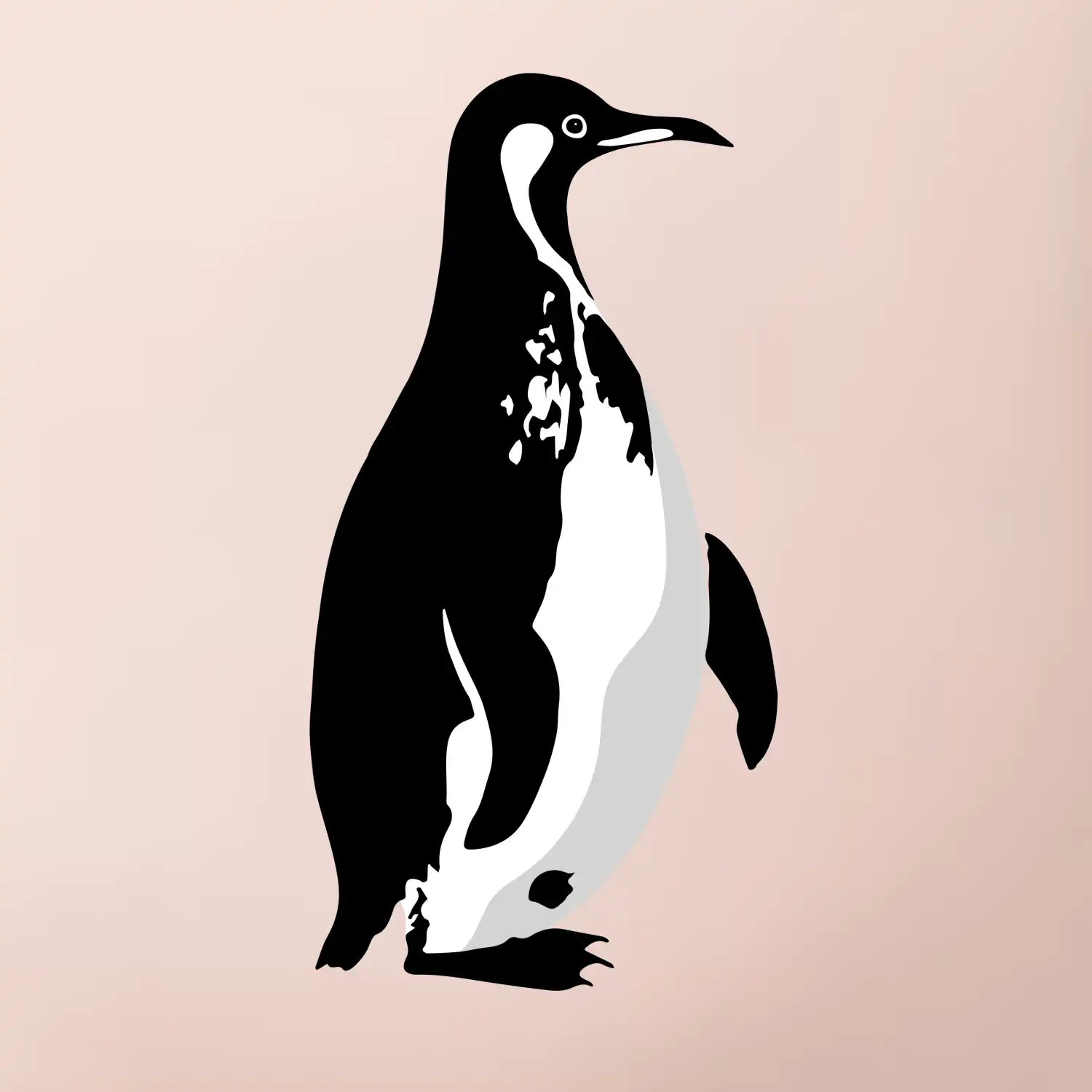 Tučňák černobílý z boku