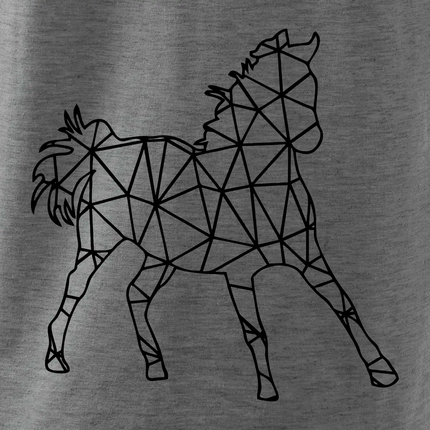 Geometrie - kůň